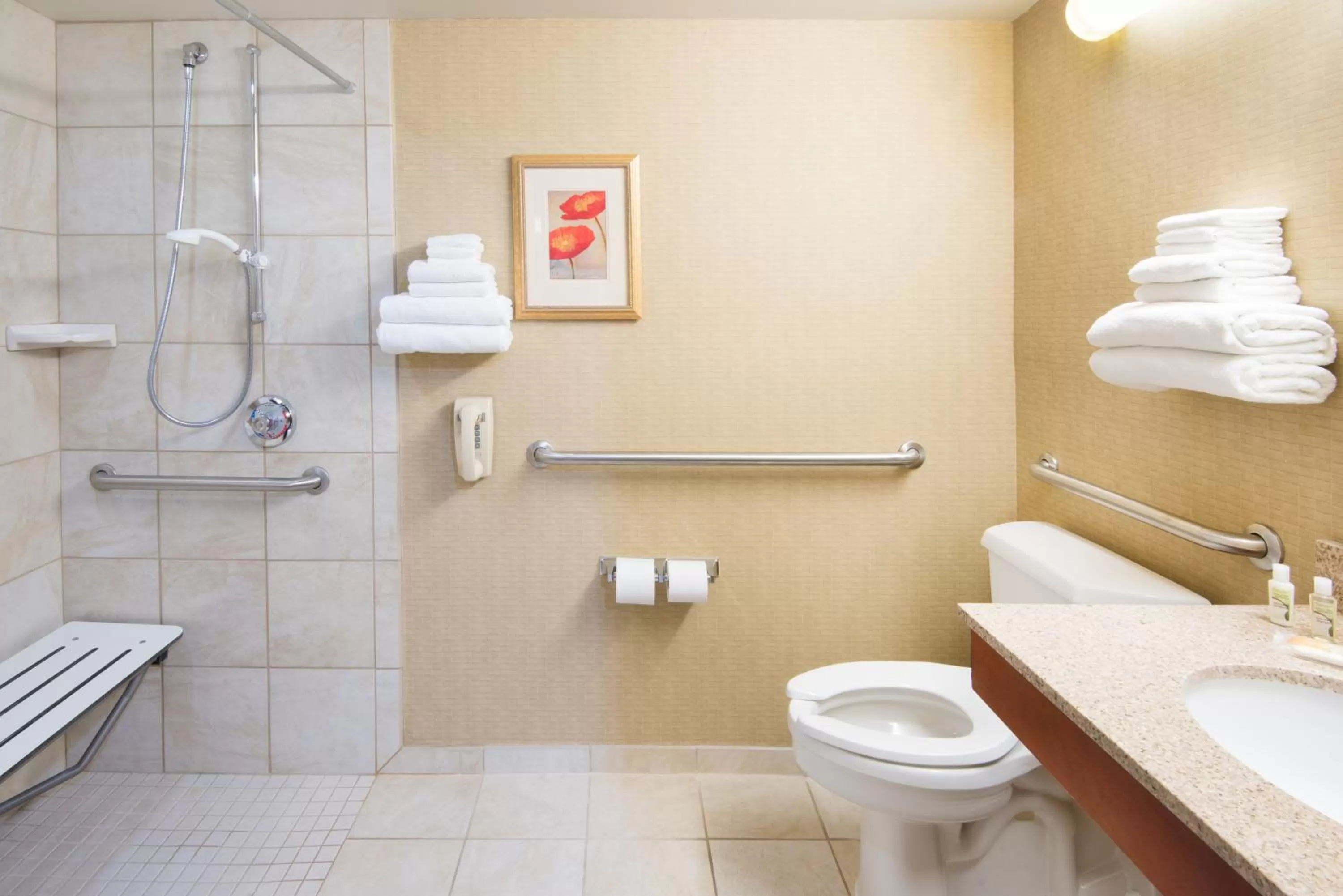 King Room with Roll-In Shower - Disability Access in Holiday Inn Cincinnati-Eastgate by IHG
