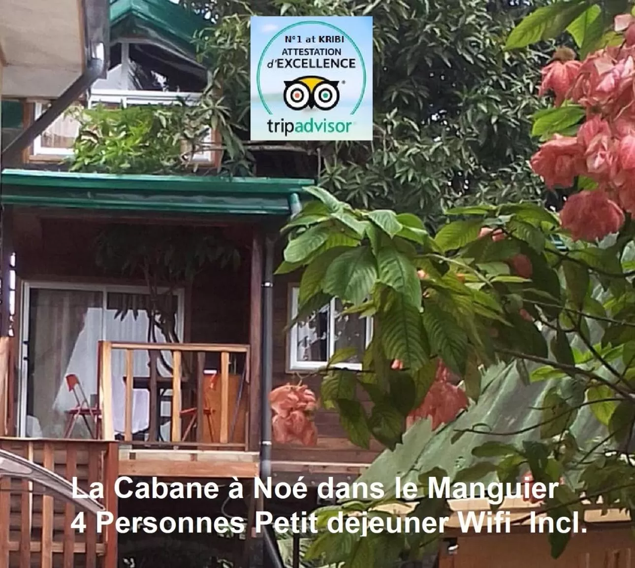 Superior Chalet in Hôtel Restaurant Gites Kribi