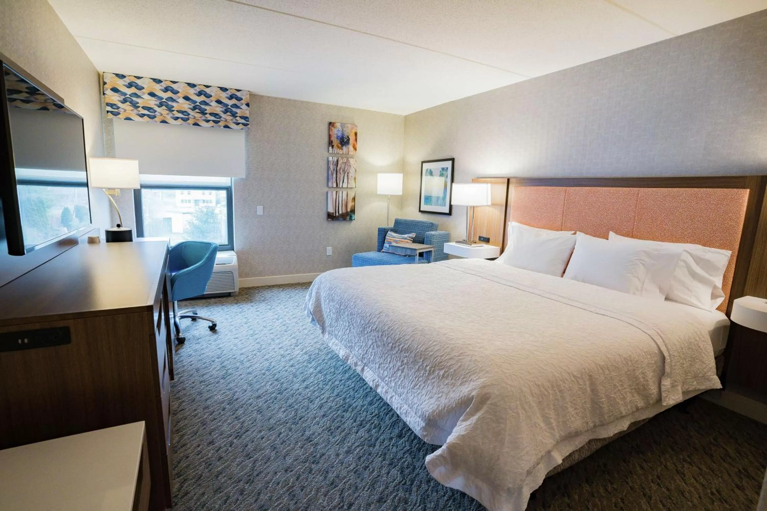 King Room with Accessible Tub - Mobility and Hearing Access/Non-Smoking in Hampton Inn Clarks Summit