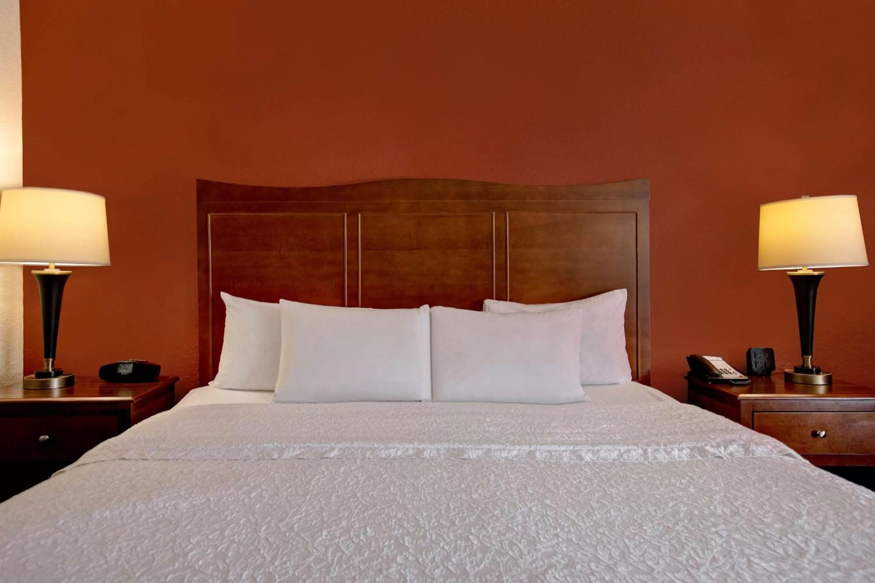 King Room with Microwave and Refrigerator – Disability Accessible/Roll-In Shower/Non-Smoking in Hampton Inn Fort Wayne-Southwest