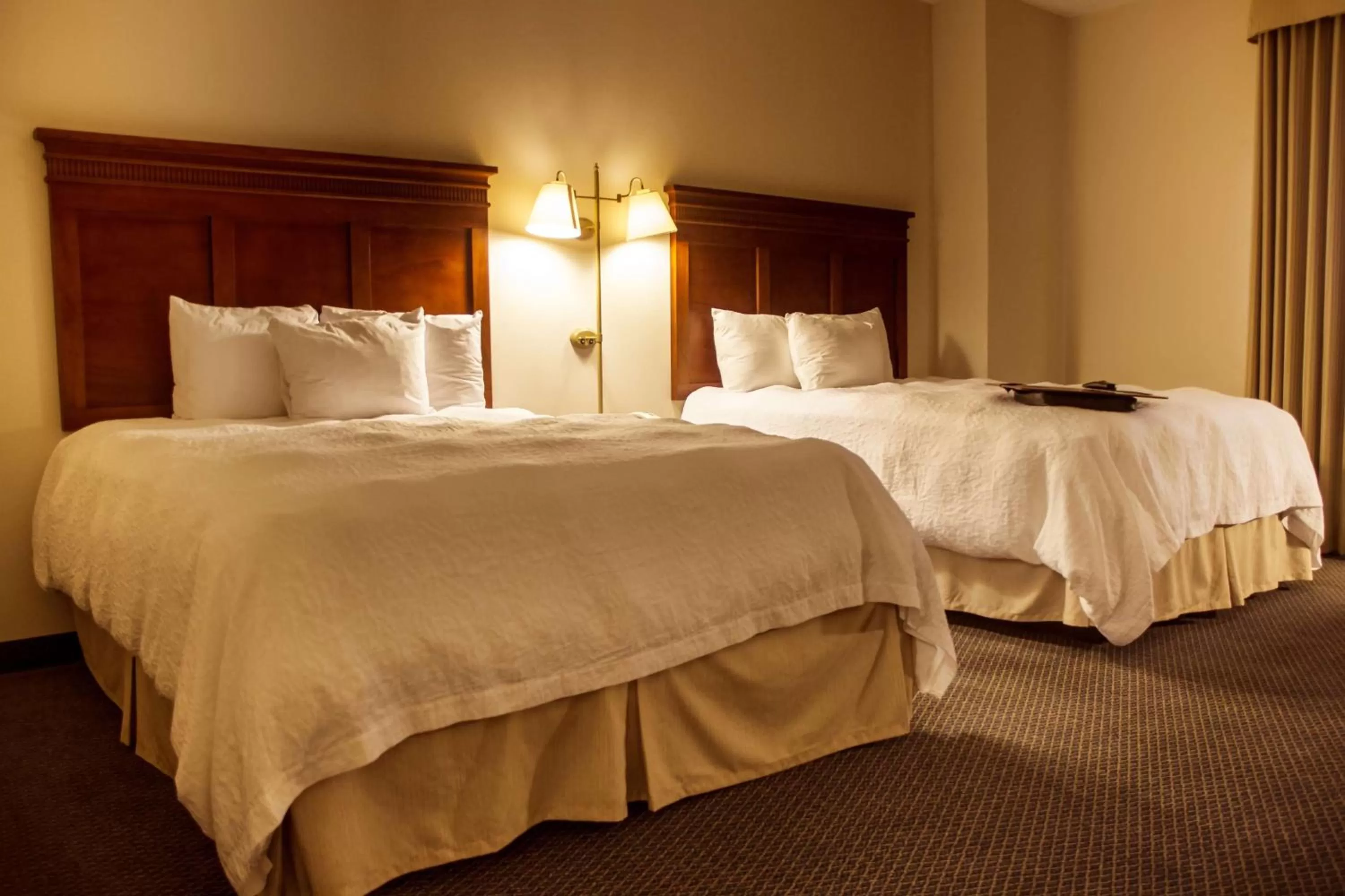 Non-Smoking Queen Studio Suite in Hampton Inn Tampico Airport