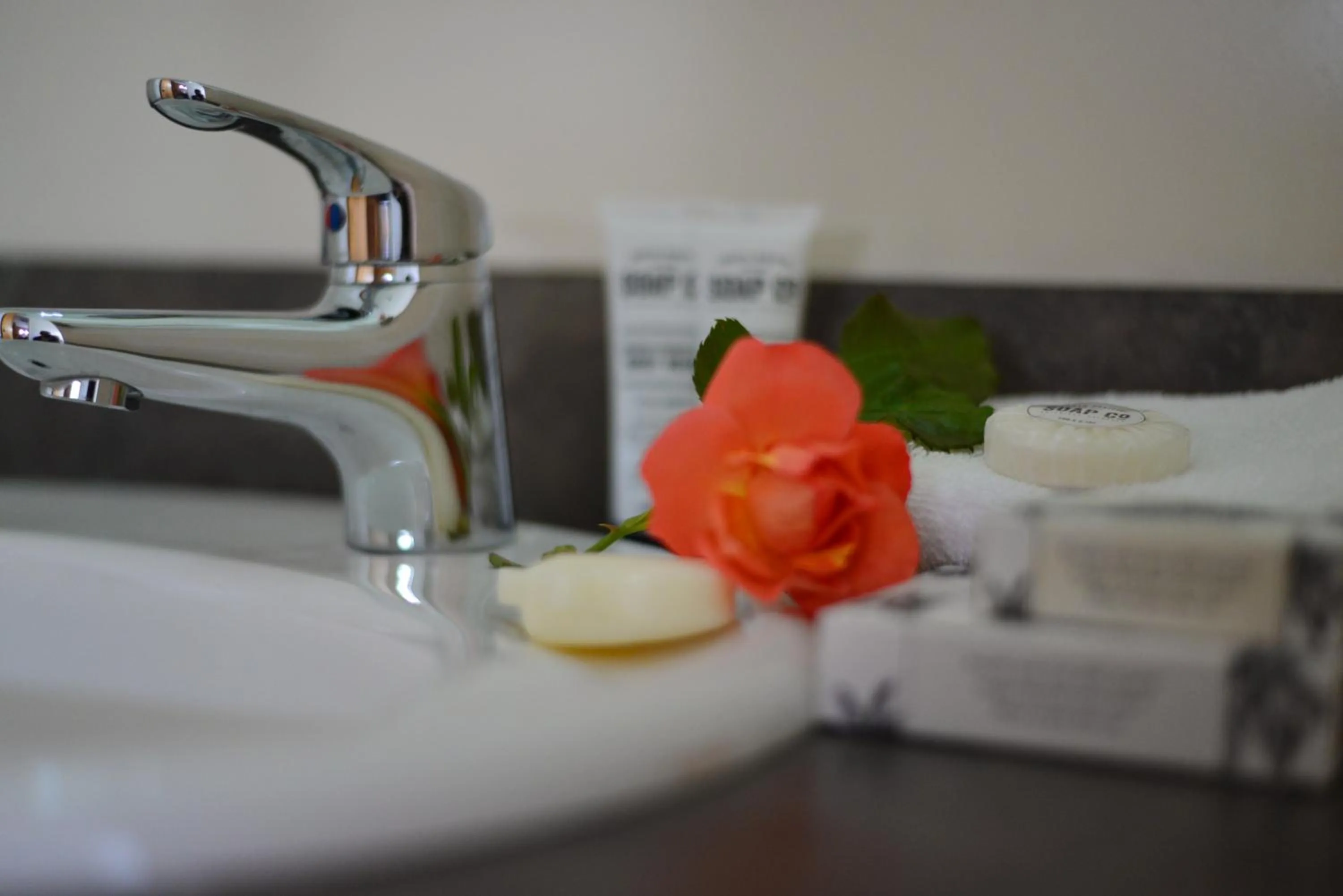 Twin Room in Abisko Lodge