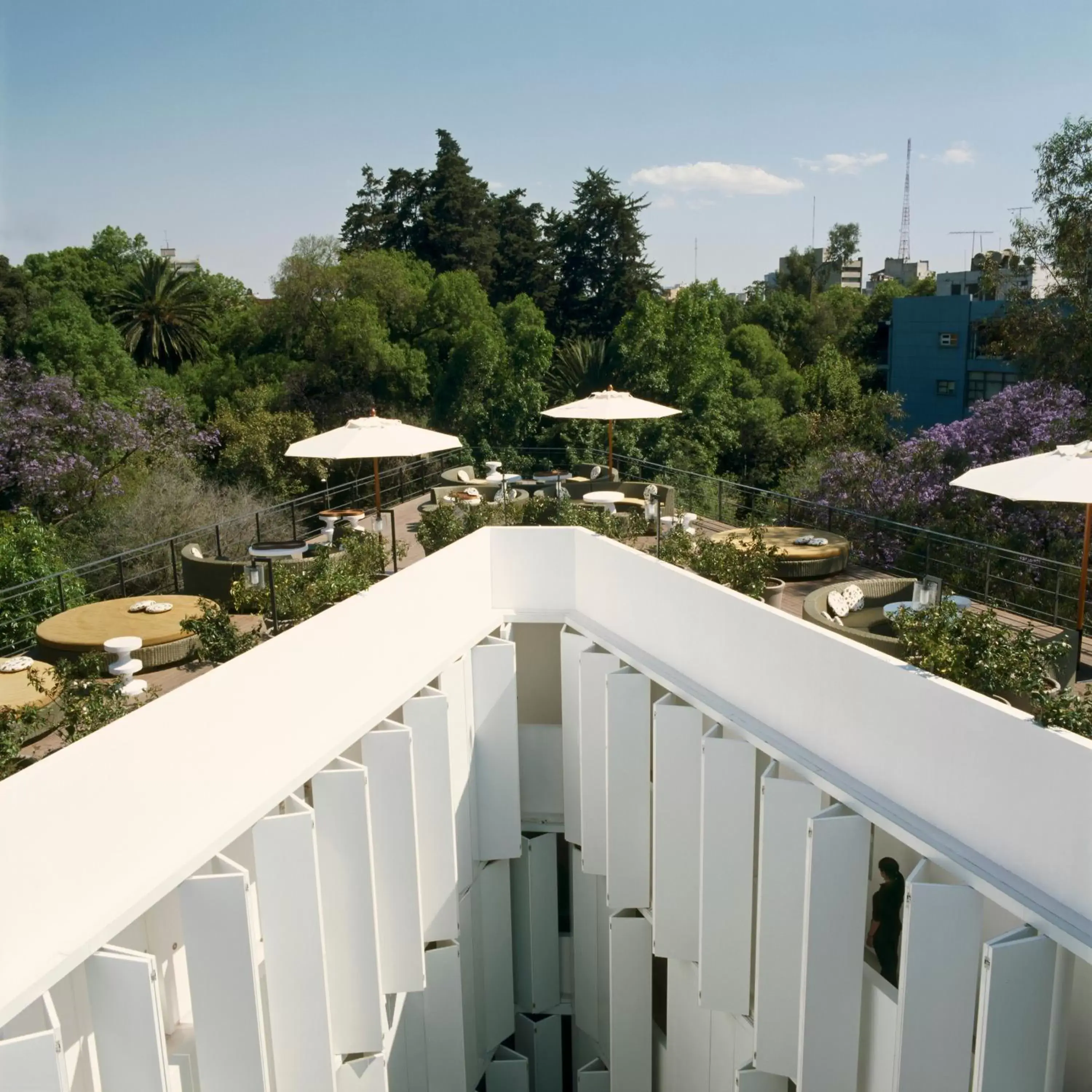 Condesa df, Mexico City, a Member of Design Hotels Condesa df, Mexico City, a Member of Design Hotels