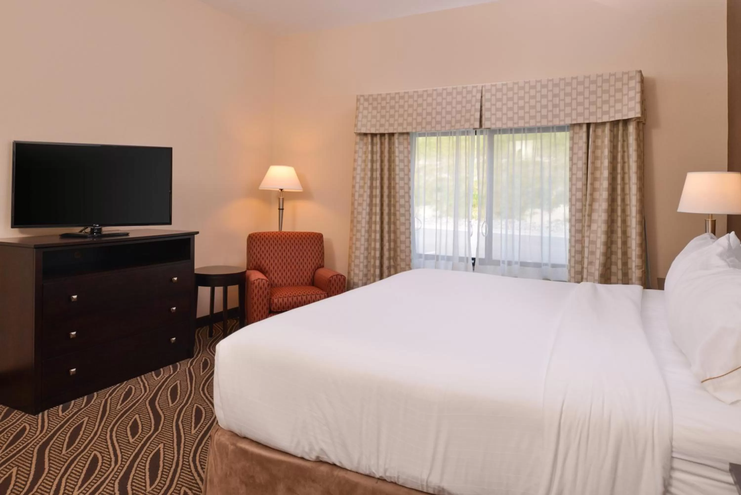 King Room with Roll-In Shower - Disability Access in Holiday Inn Express & Suites Washington - Meadow Lands by IHG