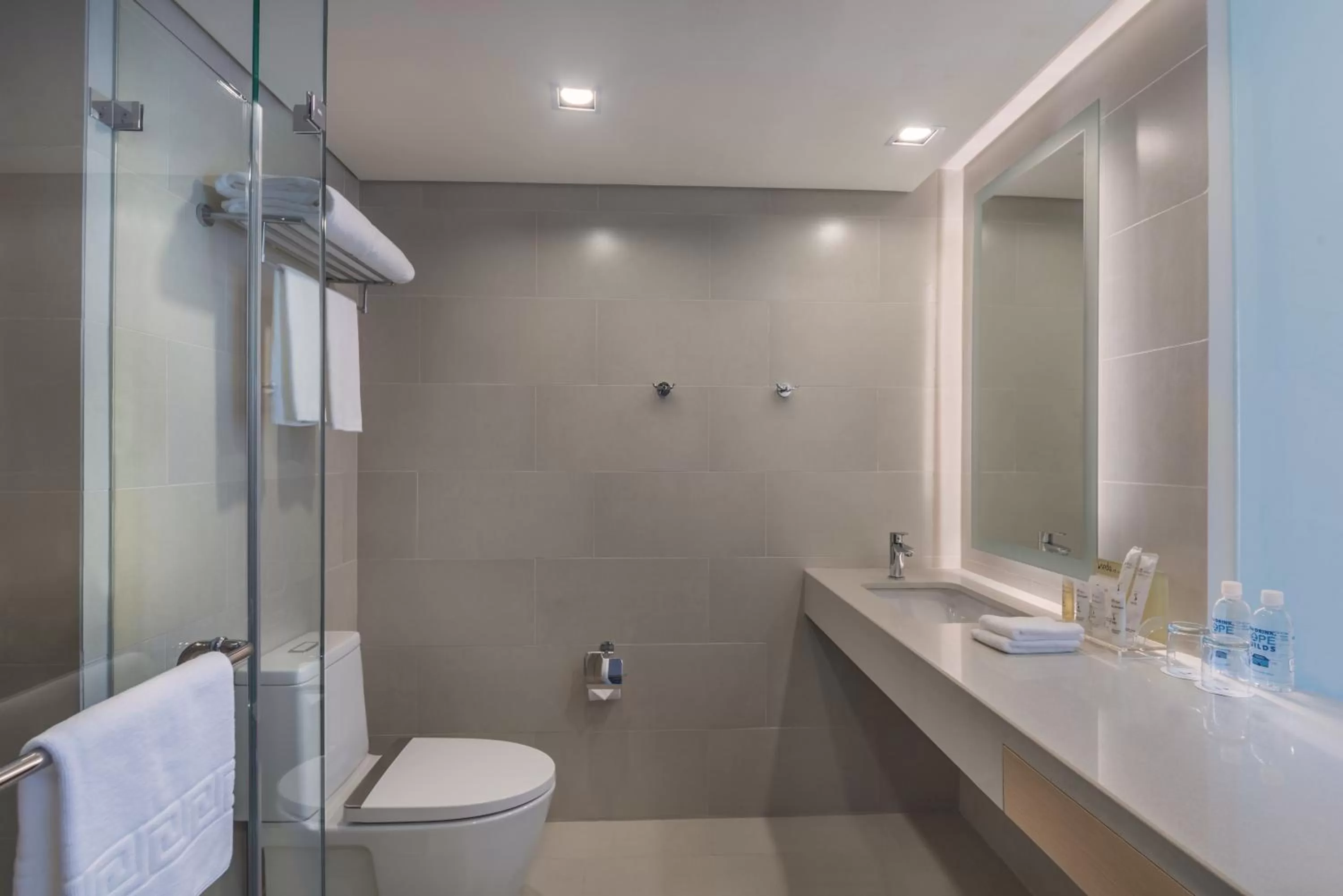 Deluxe Double or Twin Room - single occupancy in Seda Vertis North