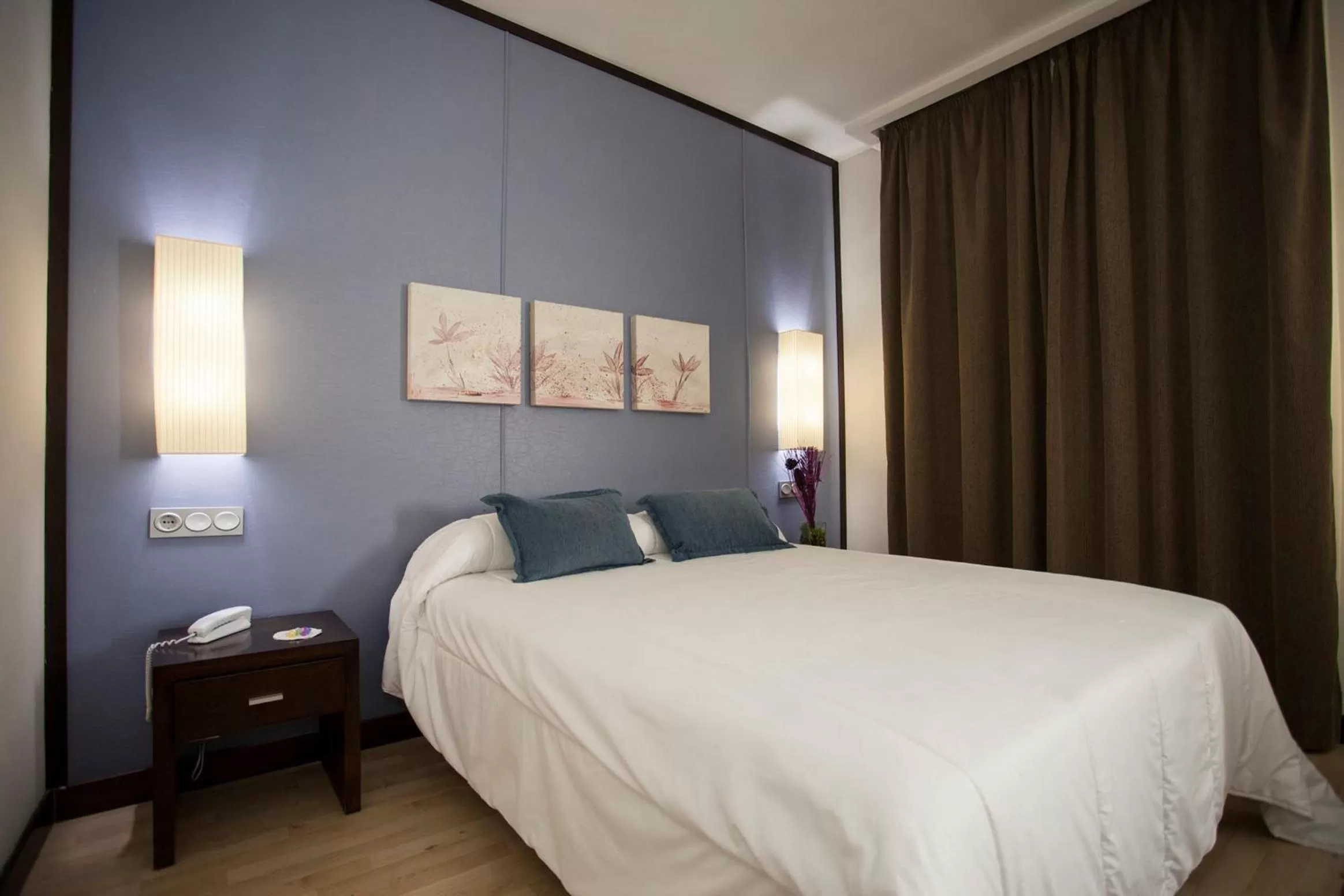 Single Room in Hotel Puerta de Ocaña