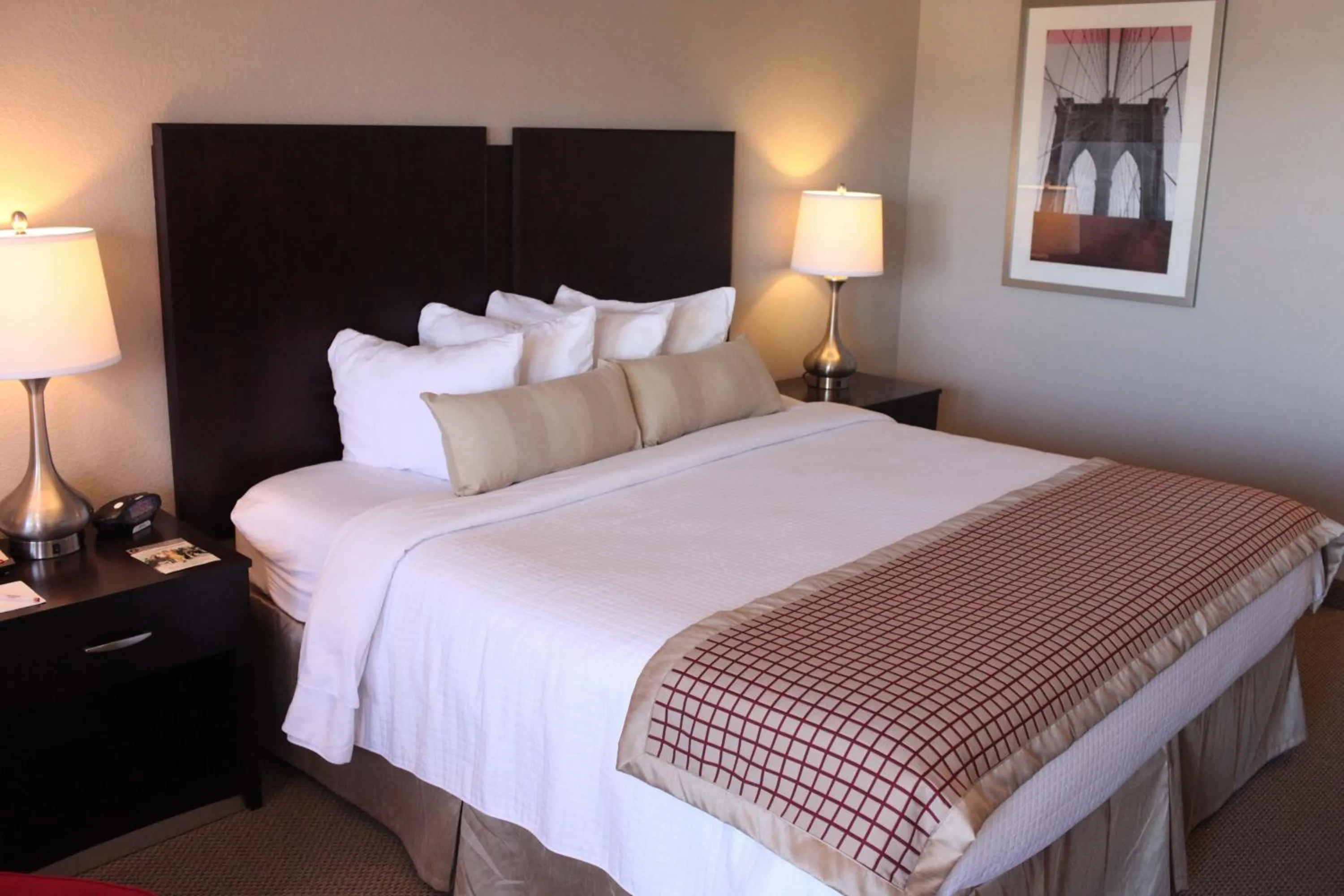 One-Bedroom King Suite - Non-Smoking in Infinity Inn & Suites