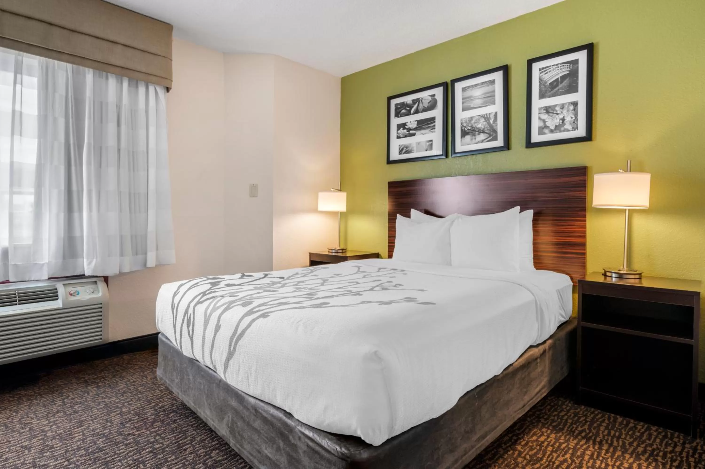 King Room - Non-Smoking in Sleep Inn Naperville - Chicago