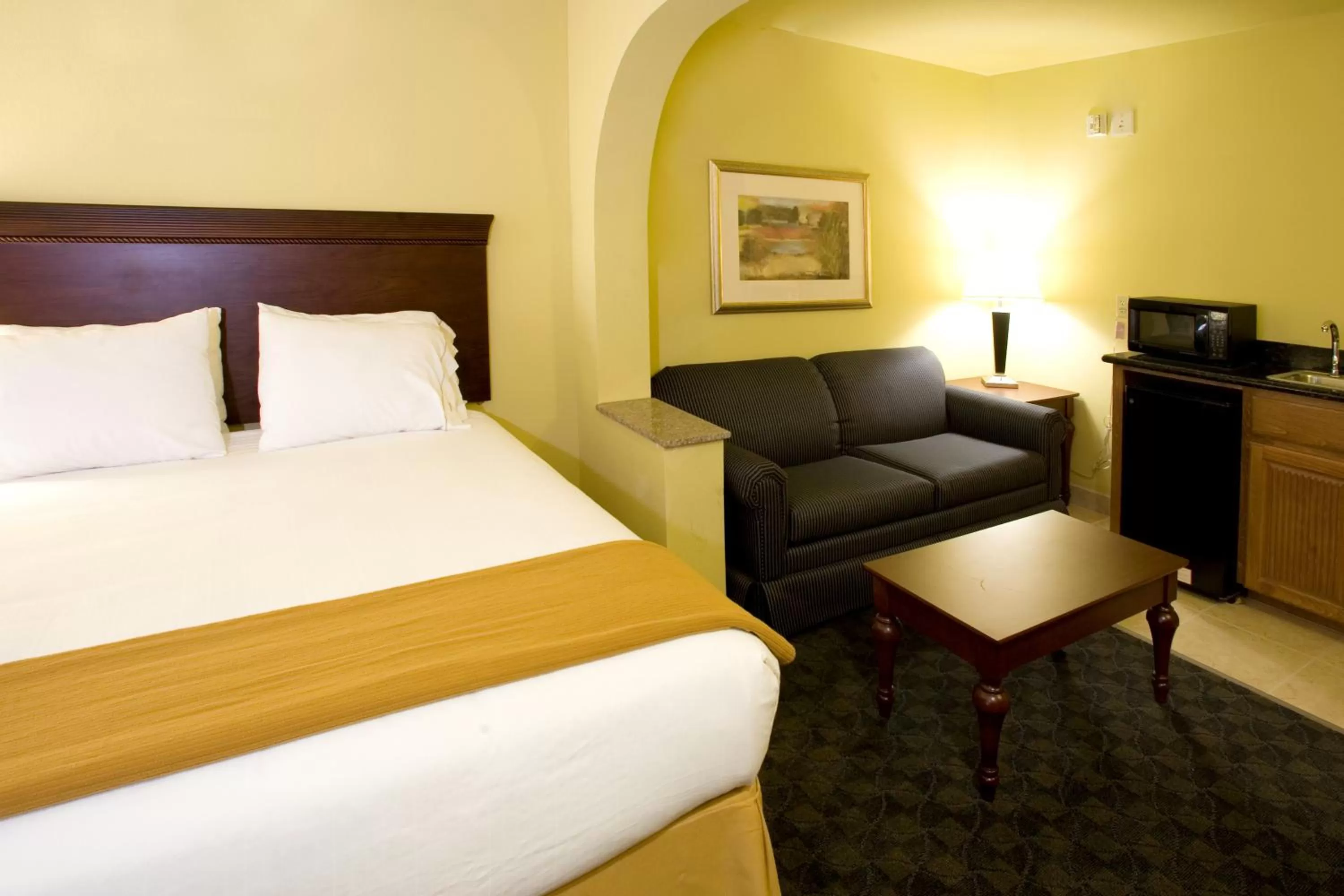 King Suite with Sofa Bed in Holiday Inn Express & Suites, Corpus Christi NW, Calallen by IHG