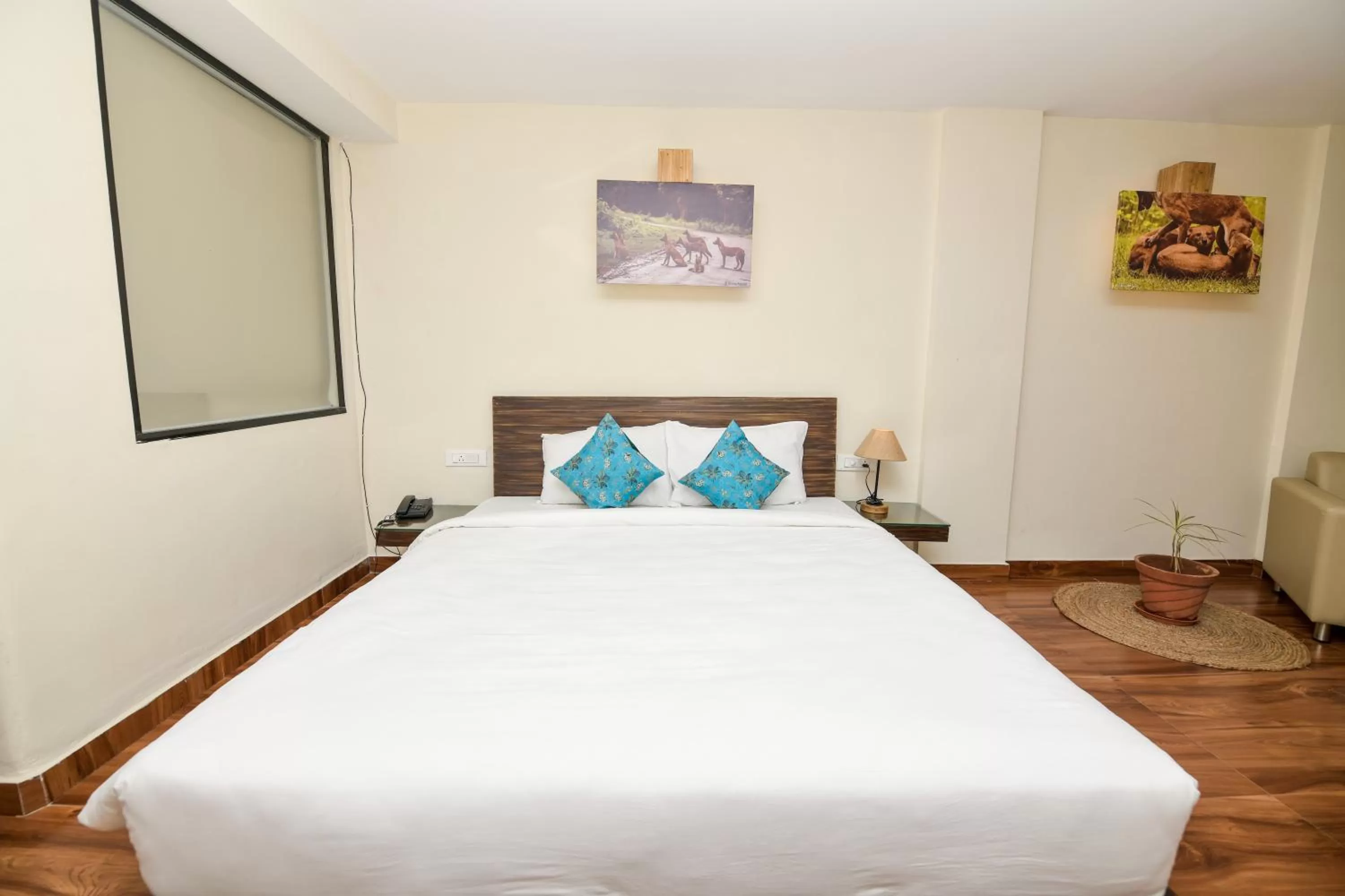 Deluxe Double Studio - single occupancy in SAFARI QUEST