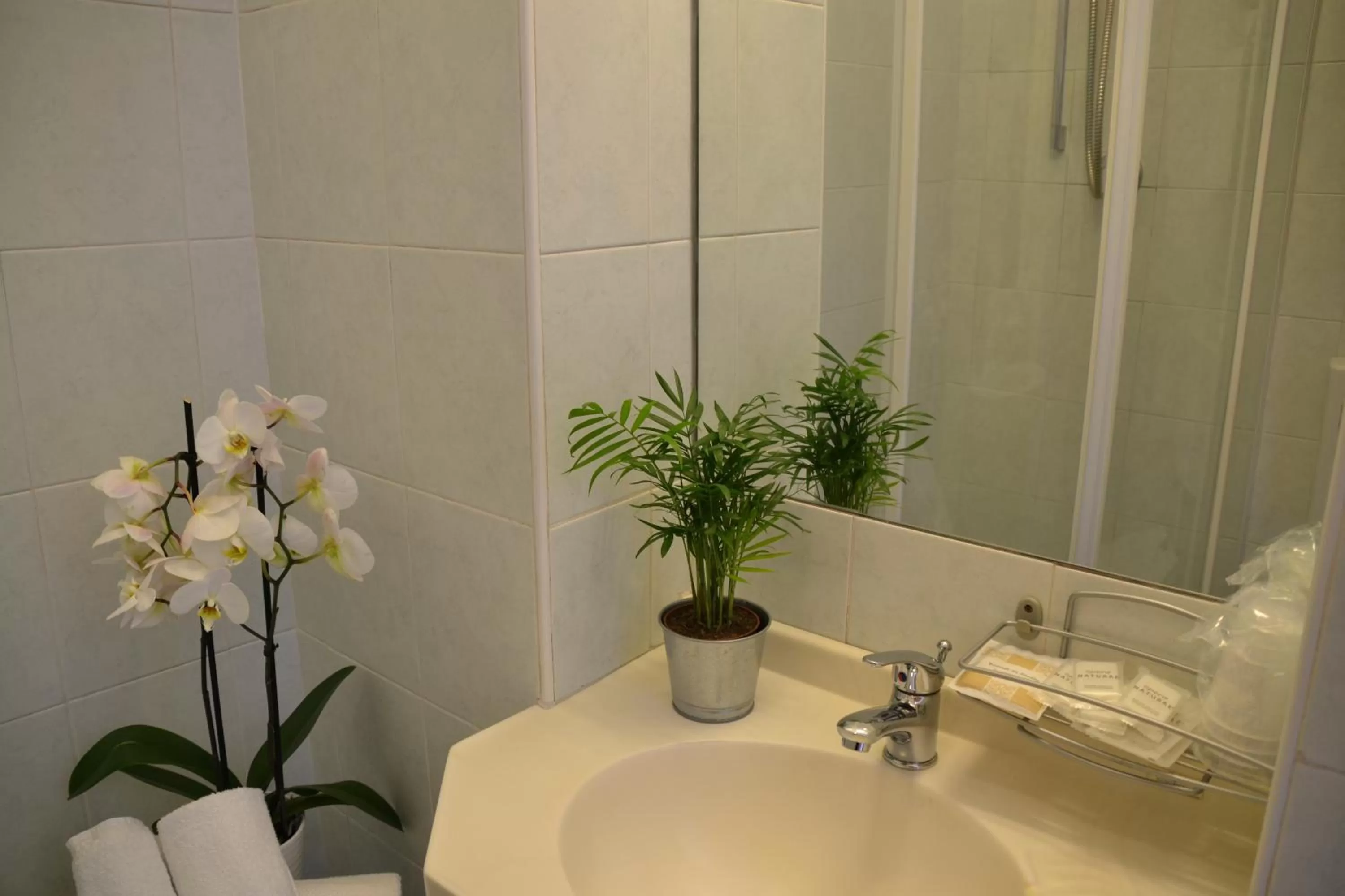 Double or Twin Room in Hotel Apogeo