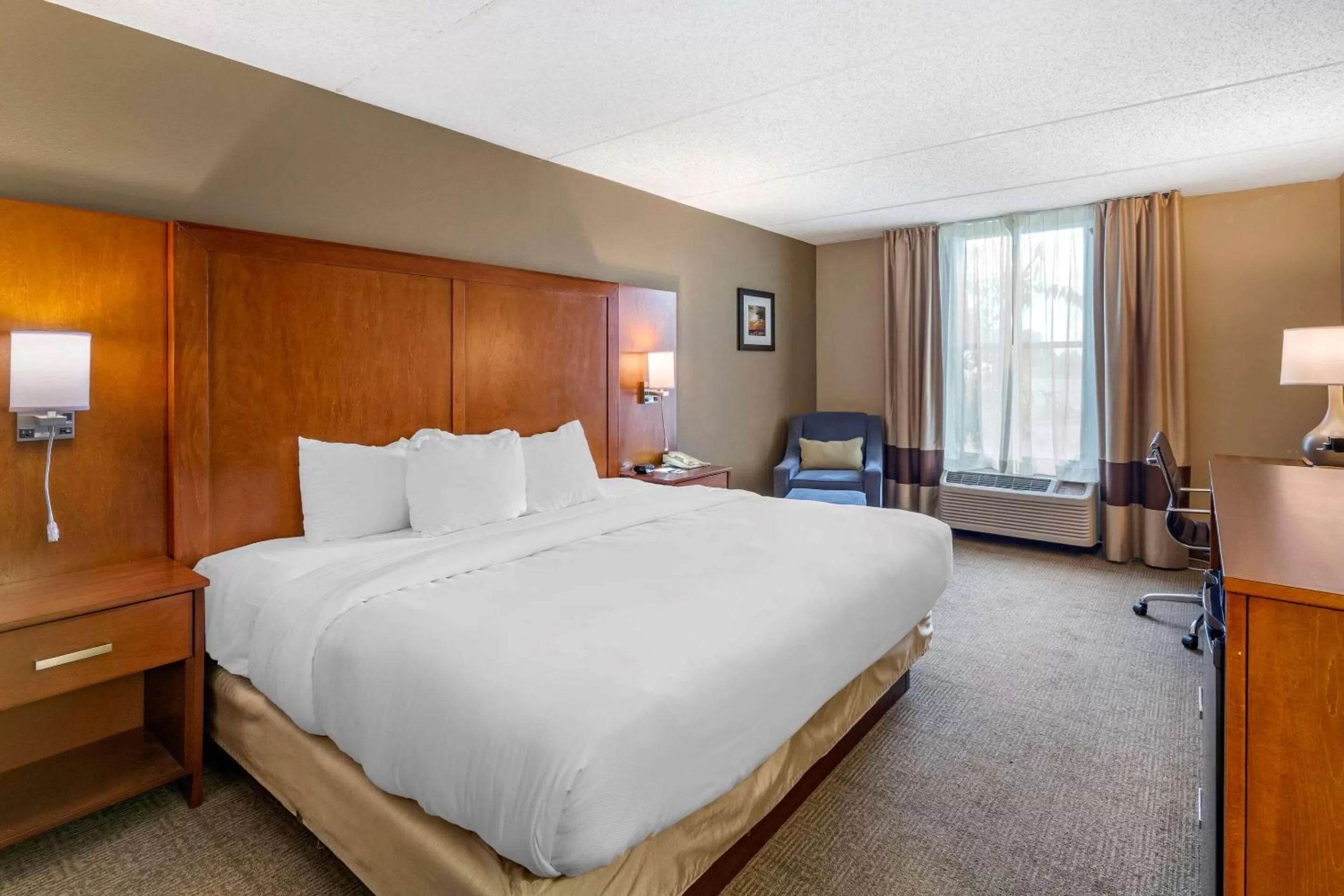 King Room - Accessible/Non-Smoking in Comfort Inn Alliance