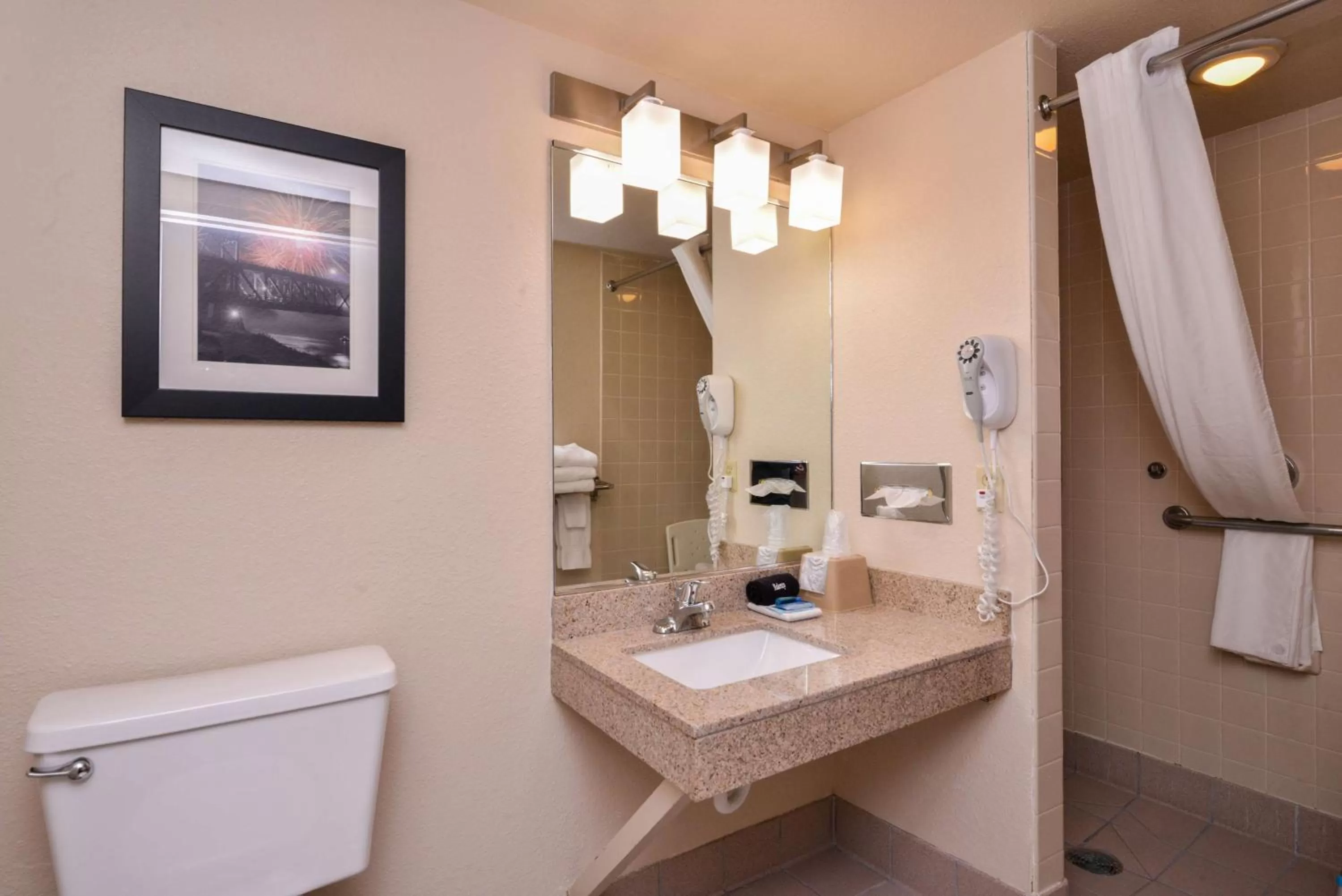 King Room with Roll In Shower-Disabilty Access in Best Western Kelly Inn - Yankton
