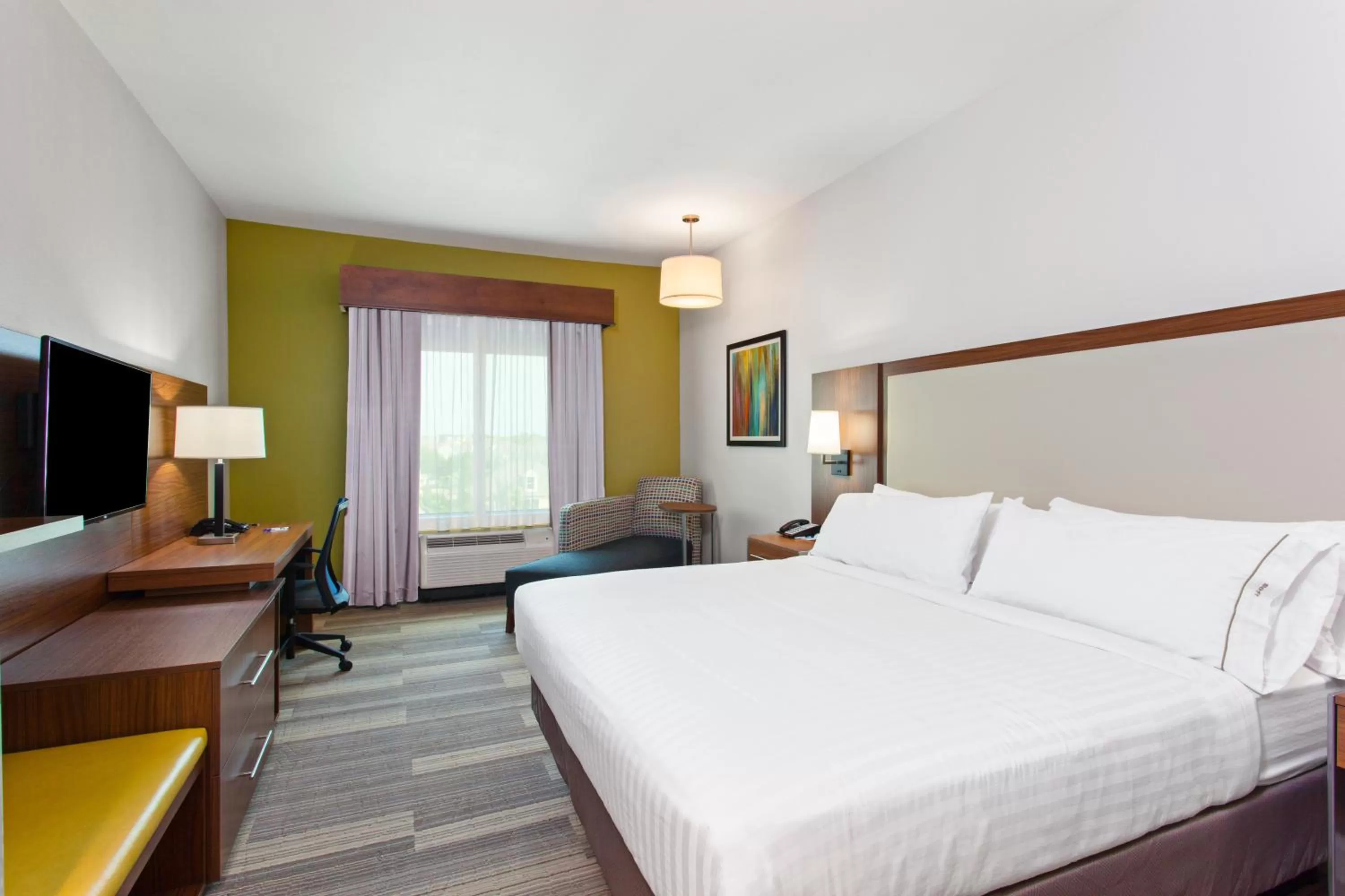 Standard King Room in Holiday Inn Express & Suites Houston S - Medical Ctr Area by IHG