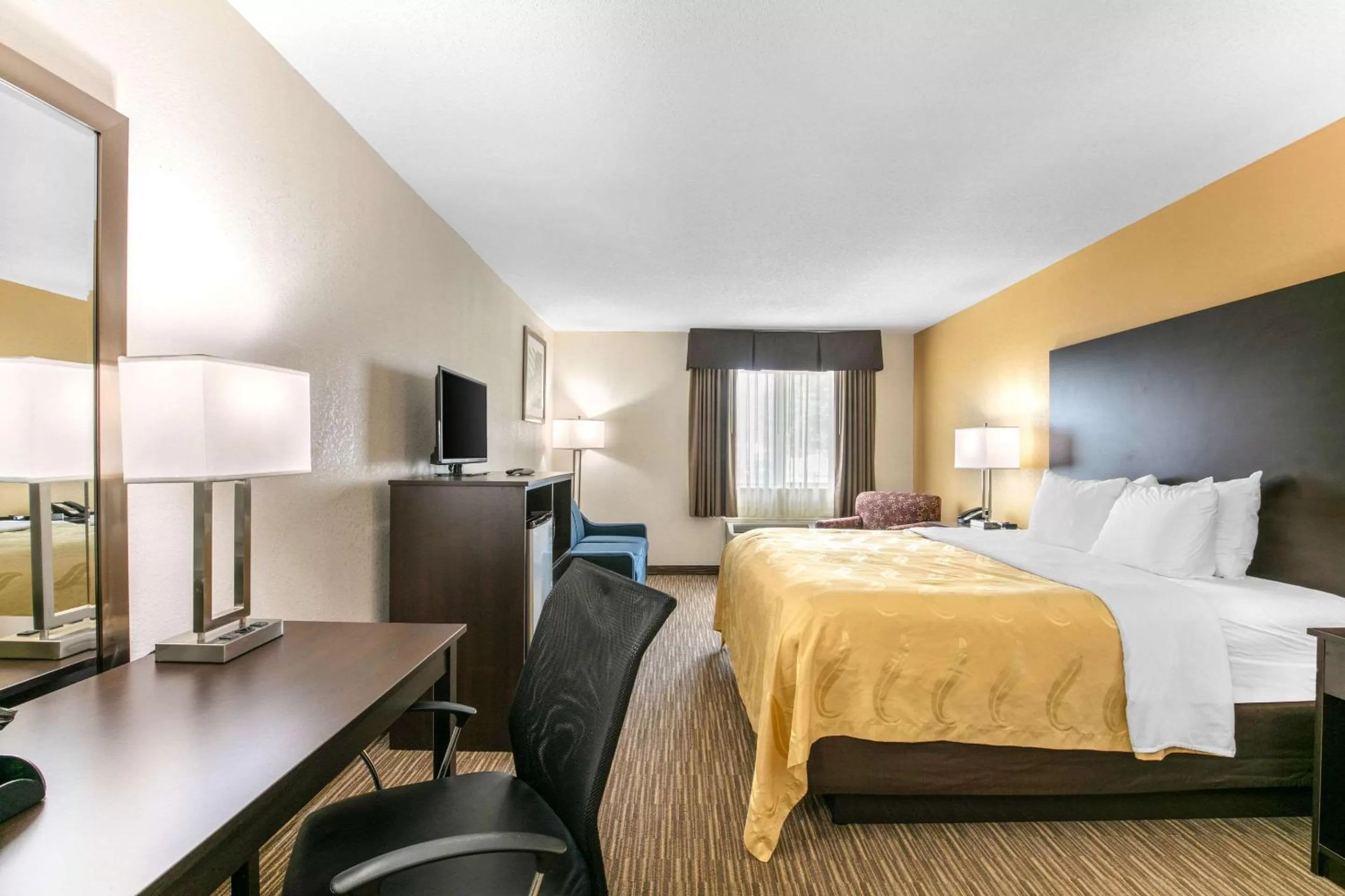 Superior King Suite - Non-Smoking in Quality Inn & Suites Metropolis I-24