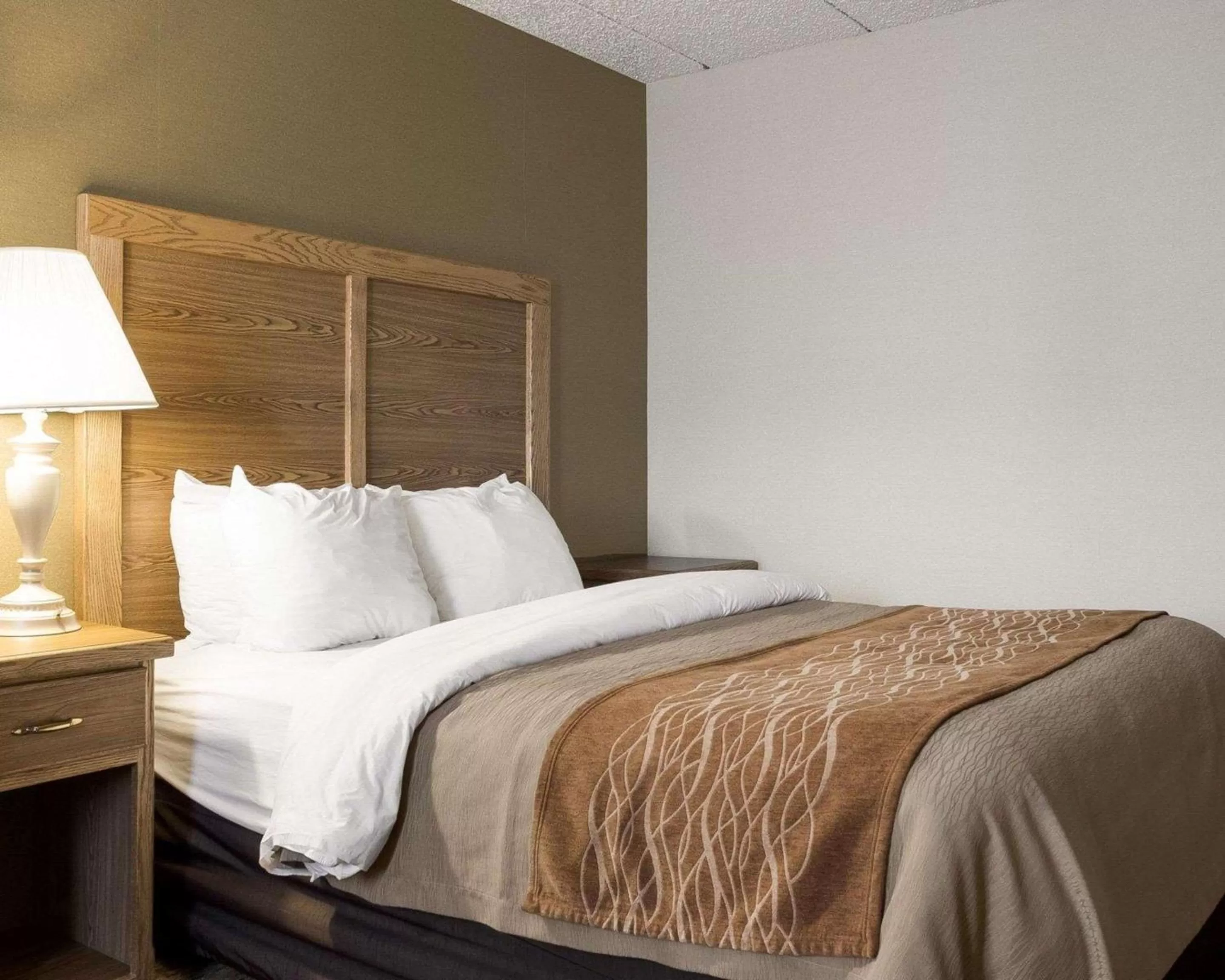 Standard King Room - Non-Smoking  in Quality Inn Bismarck