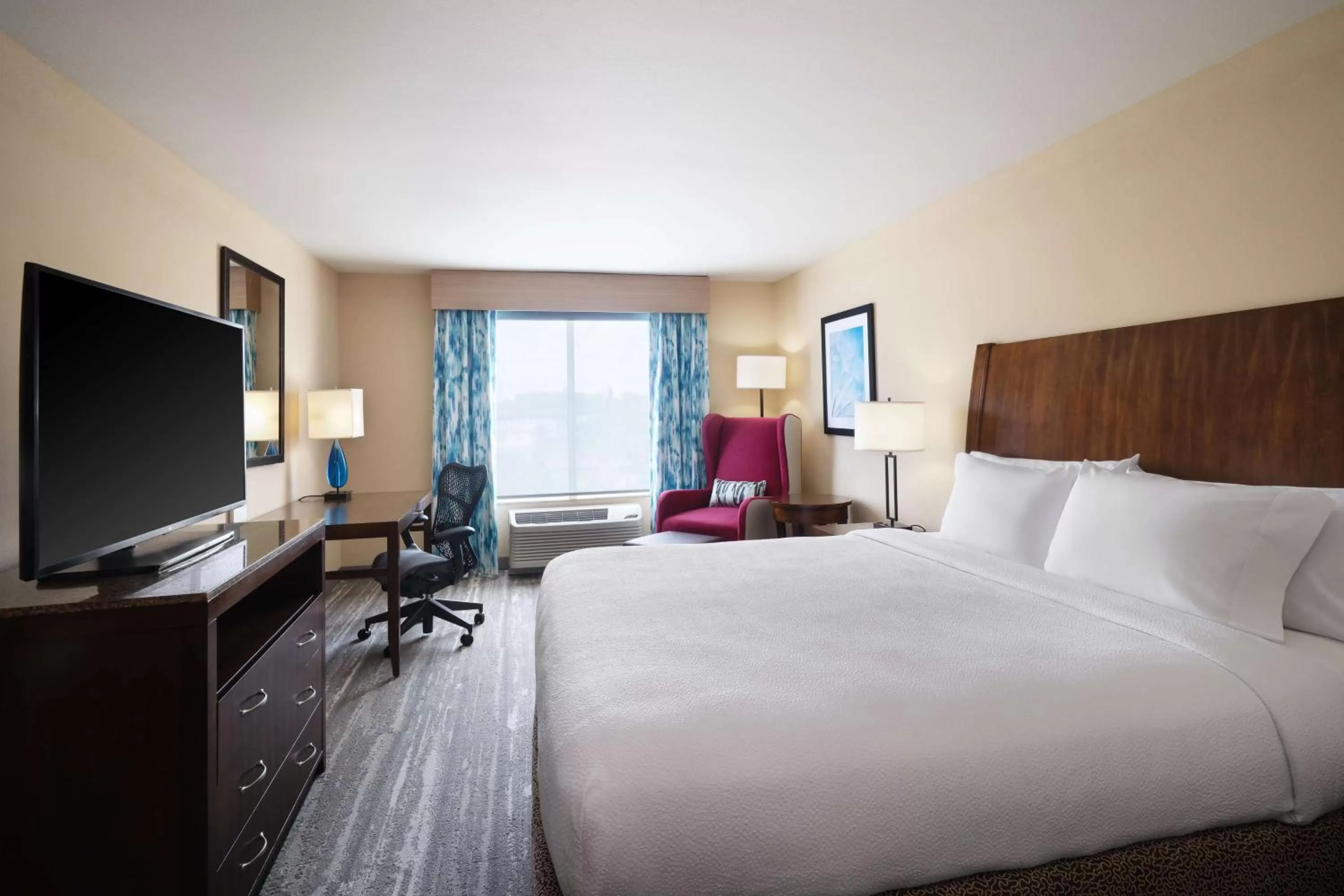 Premium King Room in Hilton Garden Inn Houston/Bush Intercontinental Airport