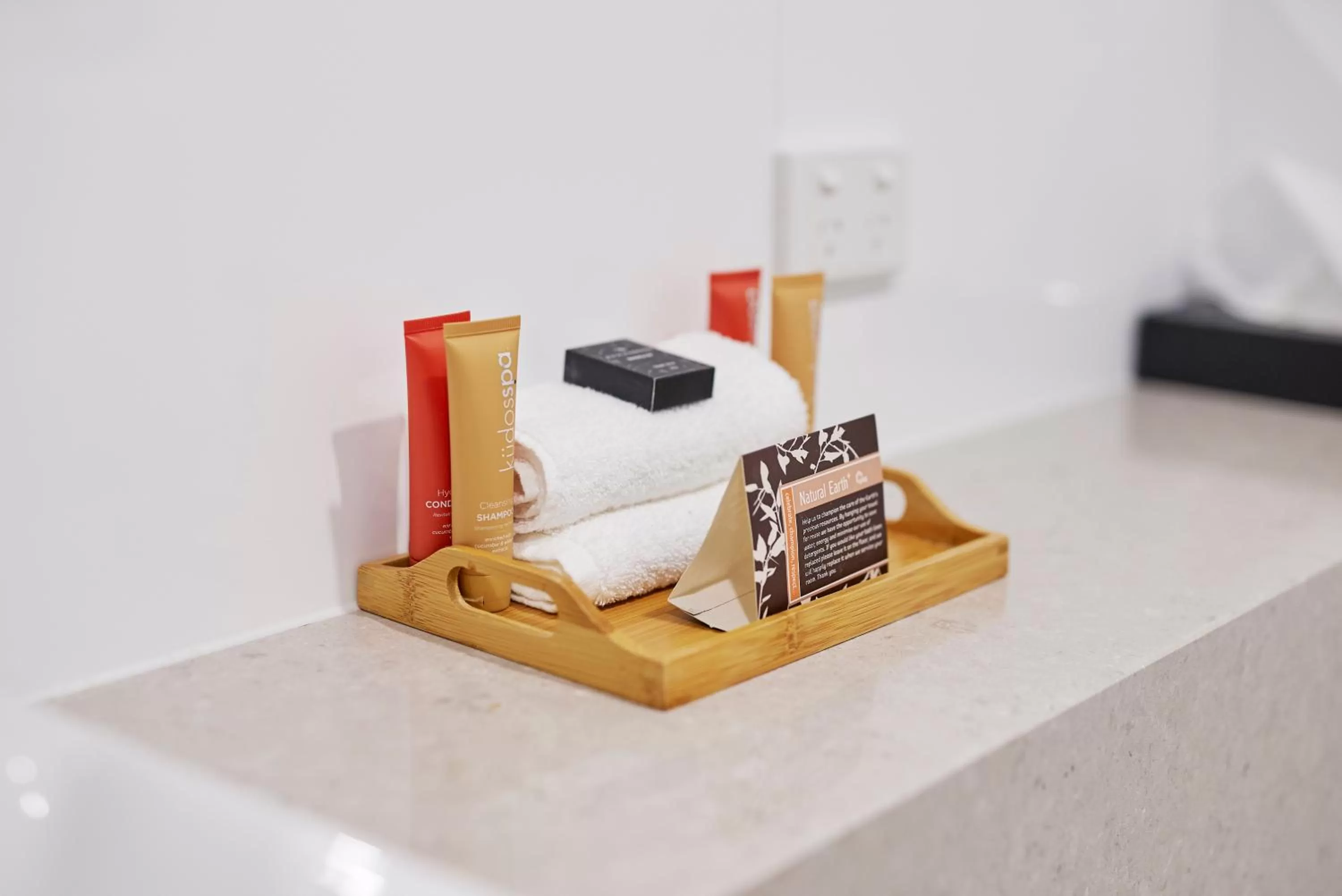 Twin Room in The Dingley Hotel