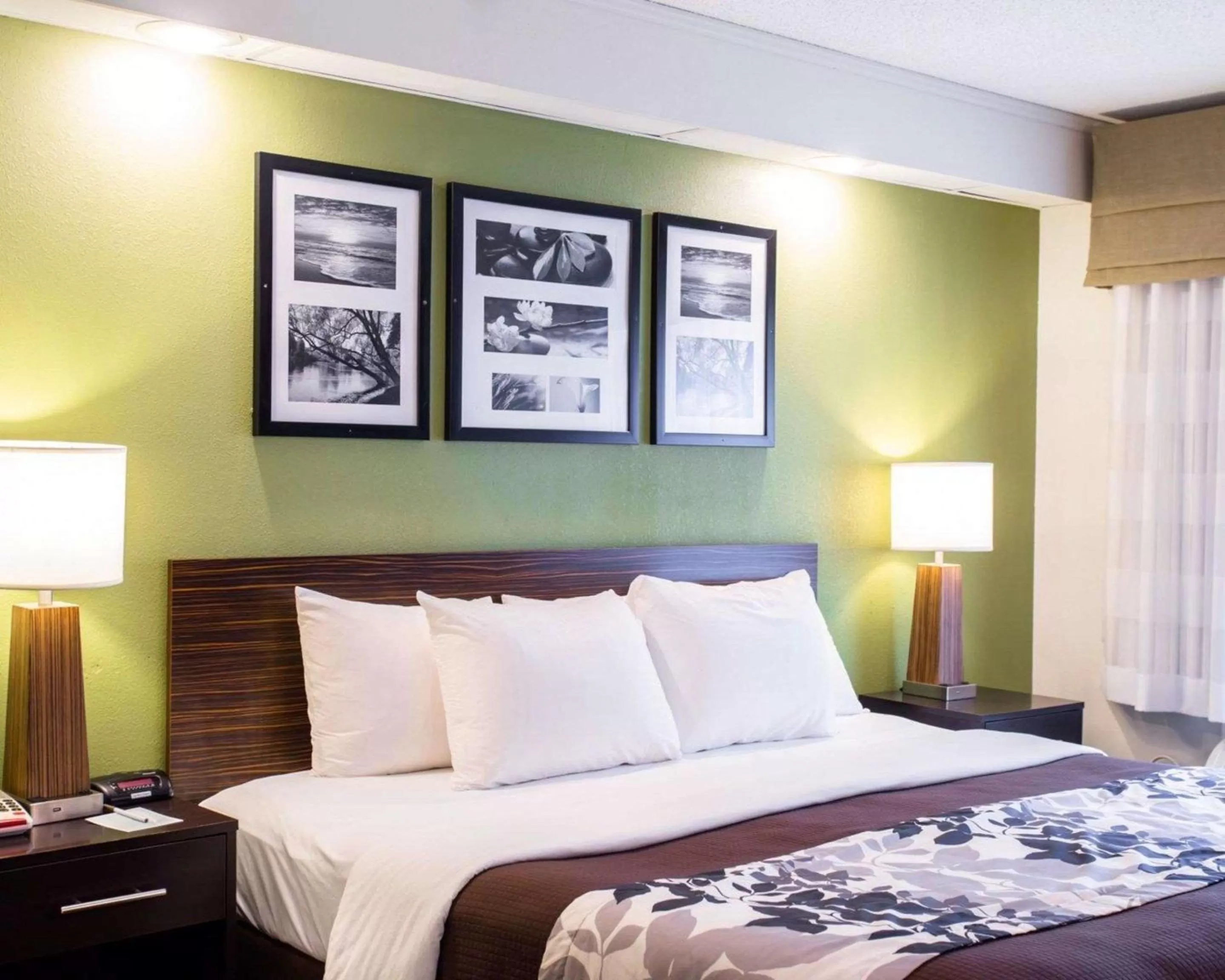 Queen Room - Accessible/Nonsmoking in Sleep Inn Nashville North - Downtown Area