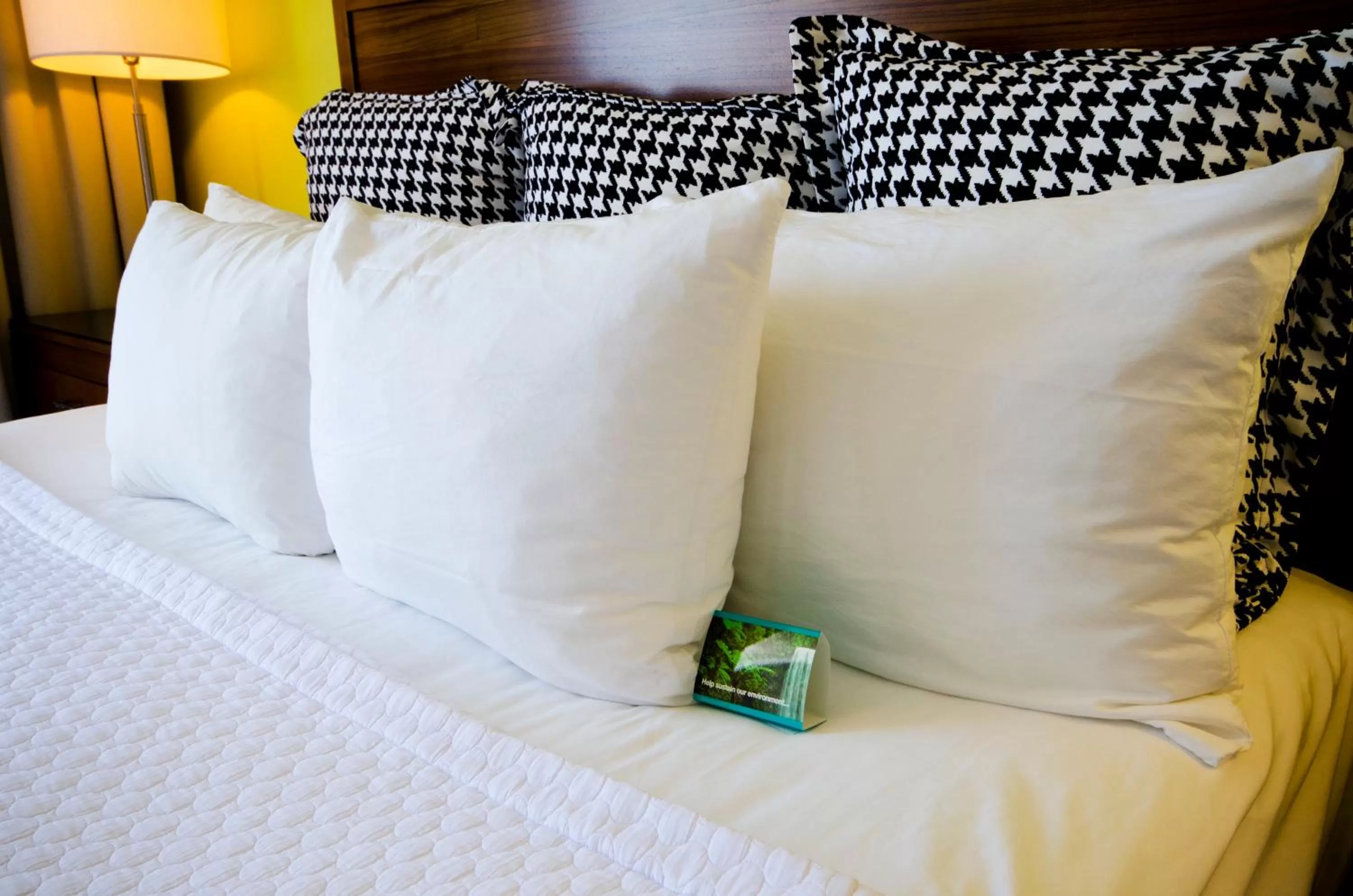 One-Bedroom Suite in Hotel Indigo Columbus Architectural Center by IHG