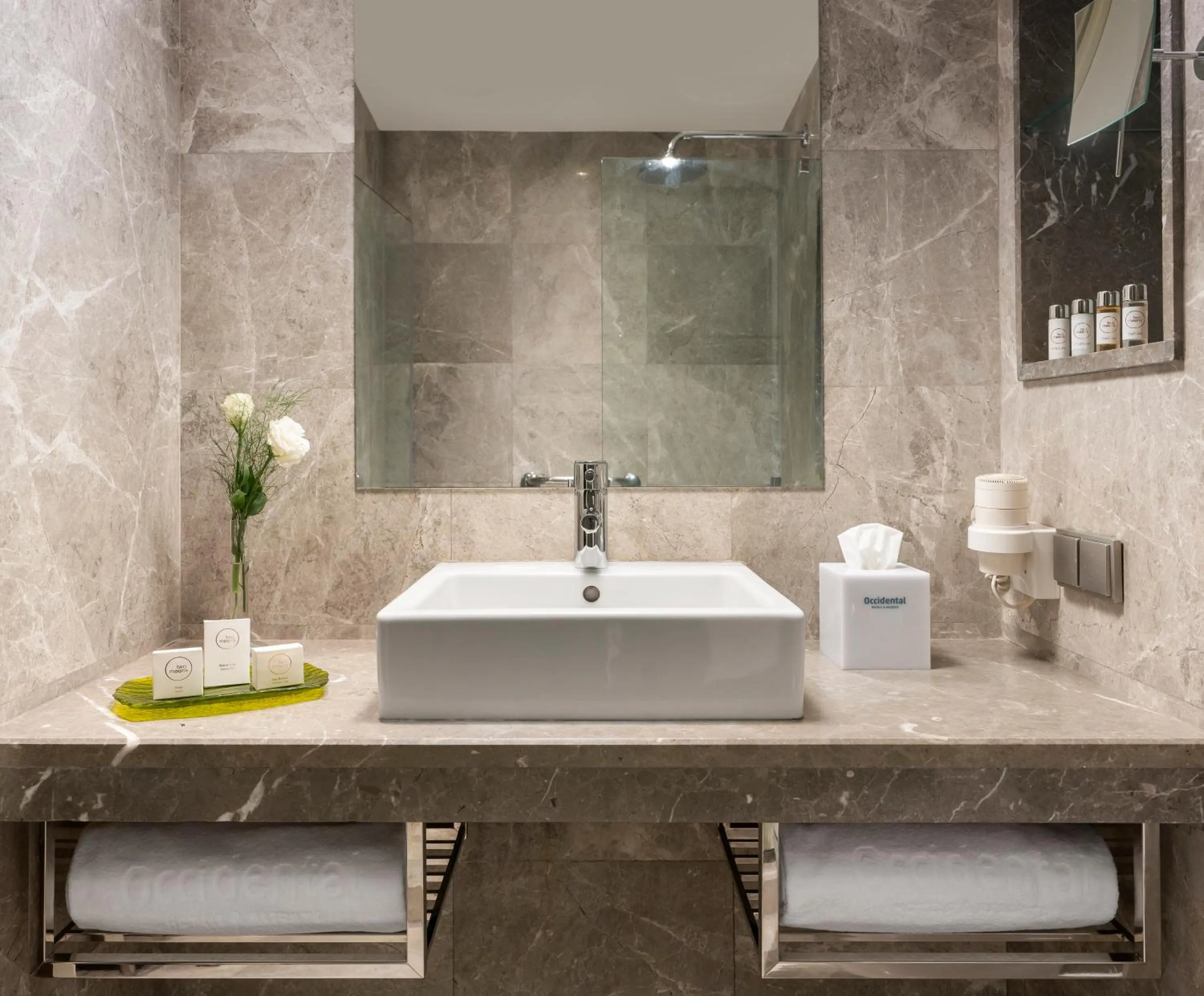 Double Room in Occidental Ankara