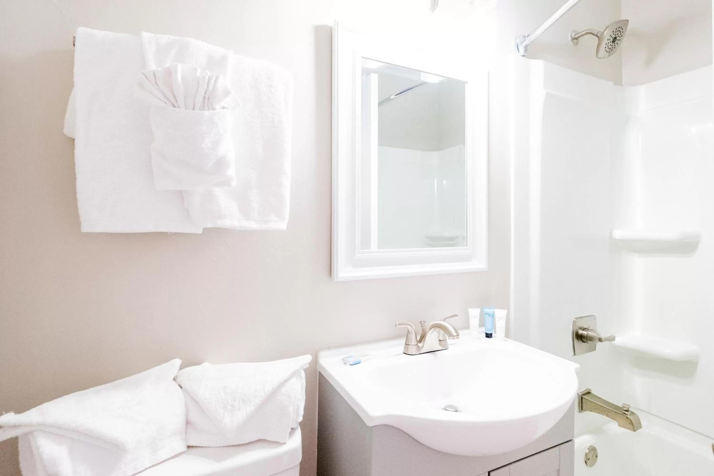 Two-Bedroom Suite in 300 Tenth