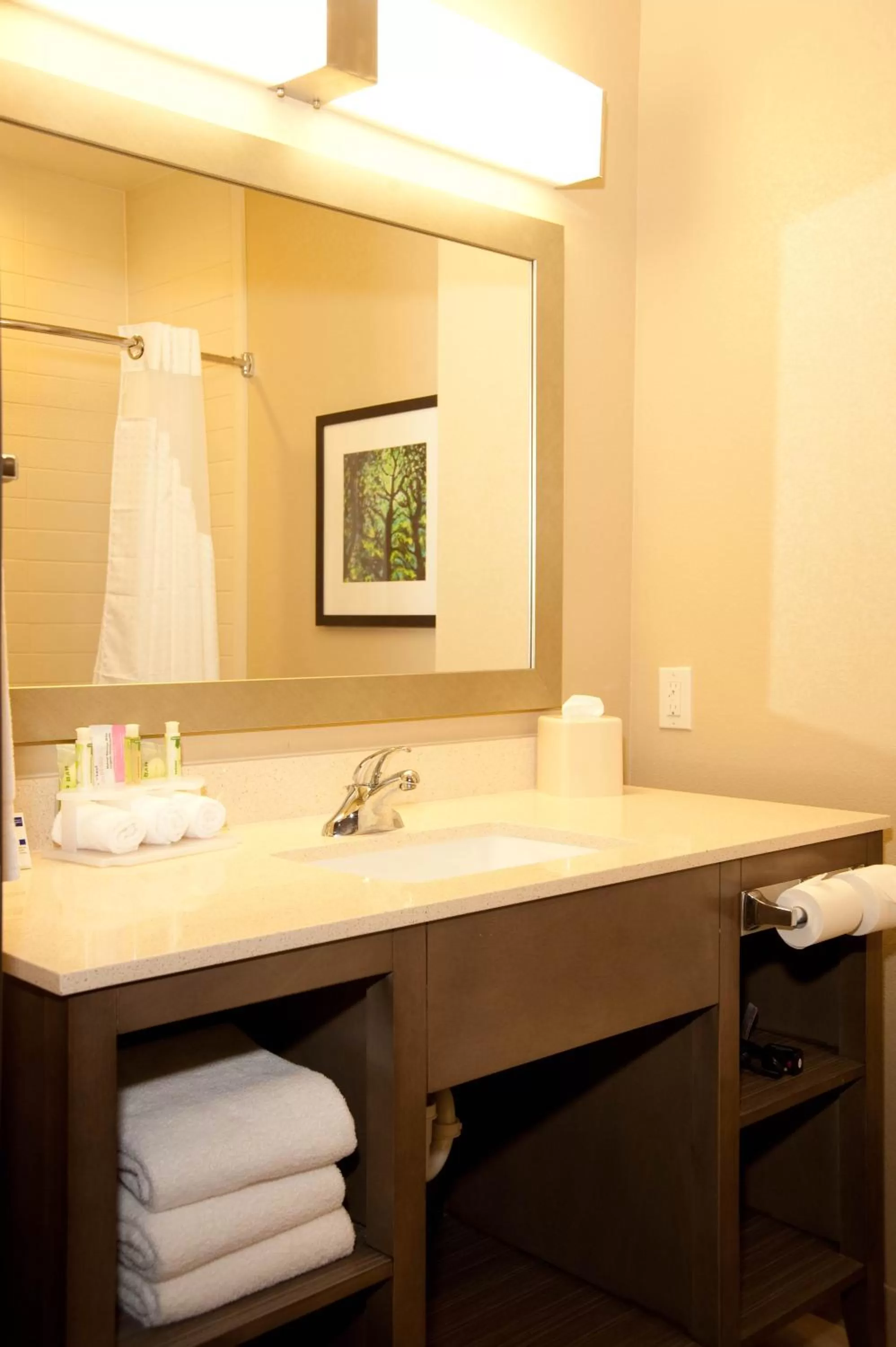 Standard King Room in Holiday Inn Express and Suites Schulenburg by IHG