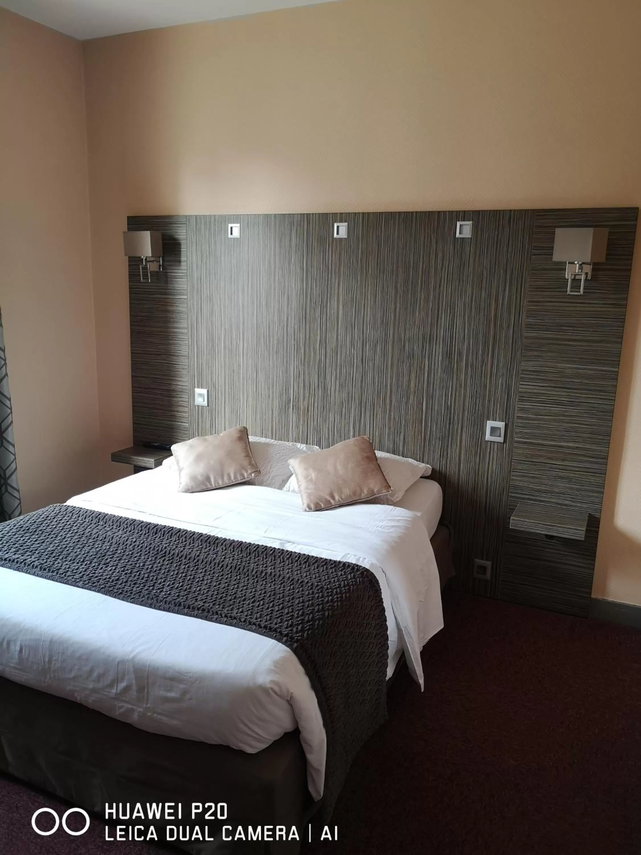 Standard Double Room in Hôtel Le Memphis