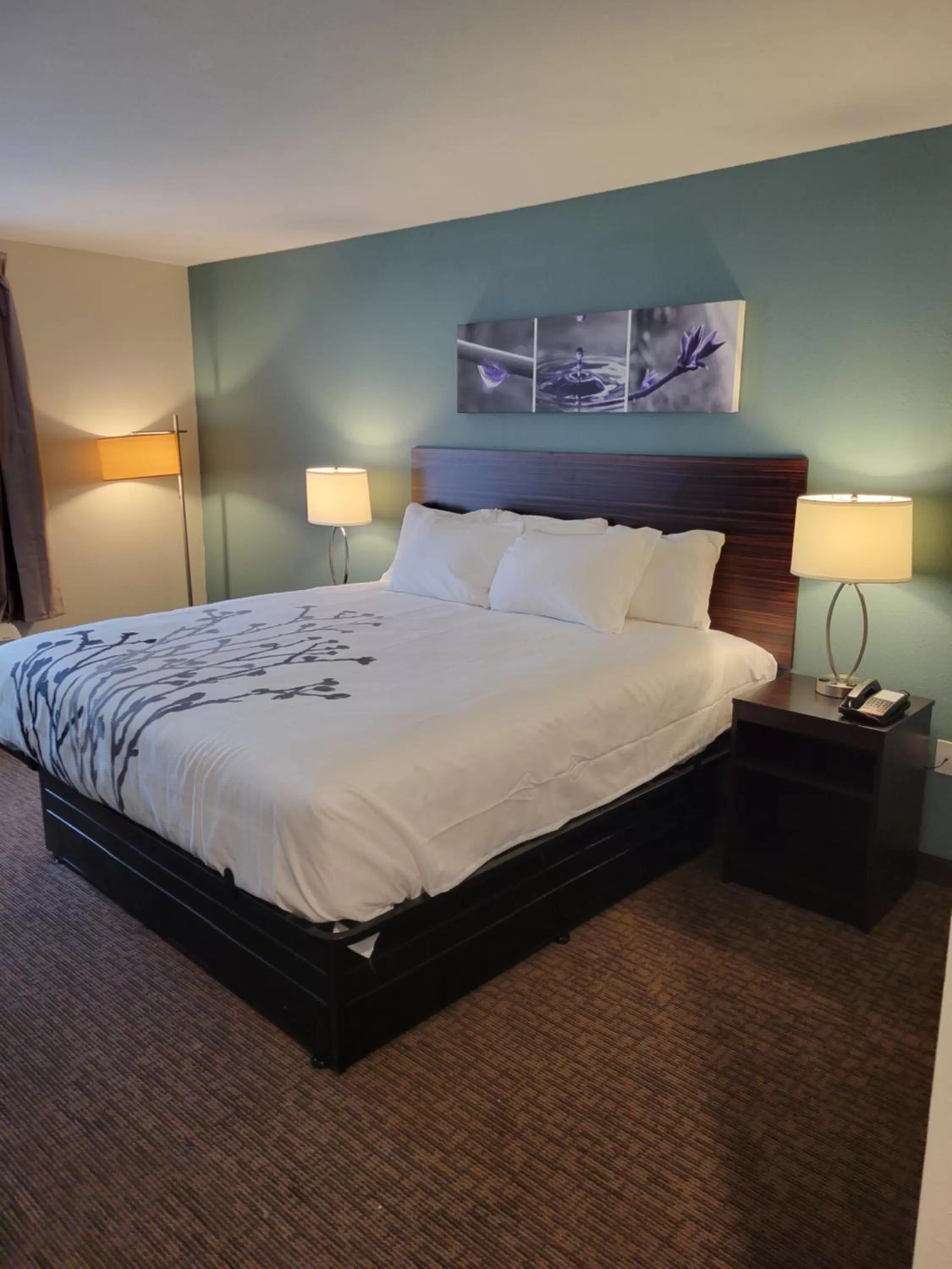 King Room - Non Smoking in Sleep Inn Greensboro - Coliseum Area