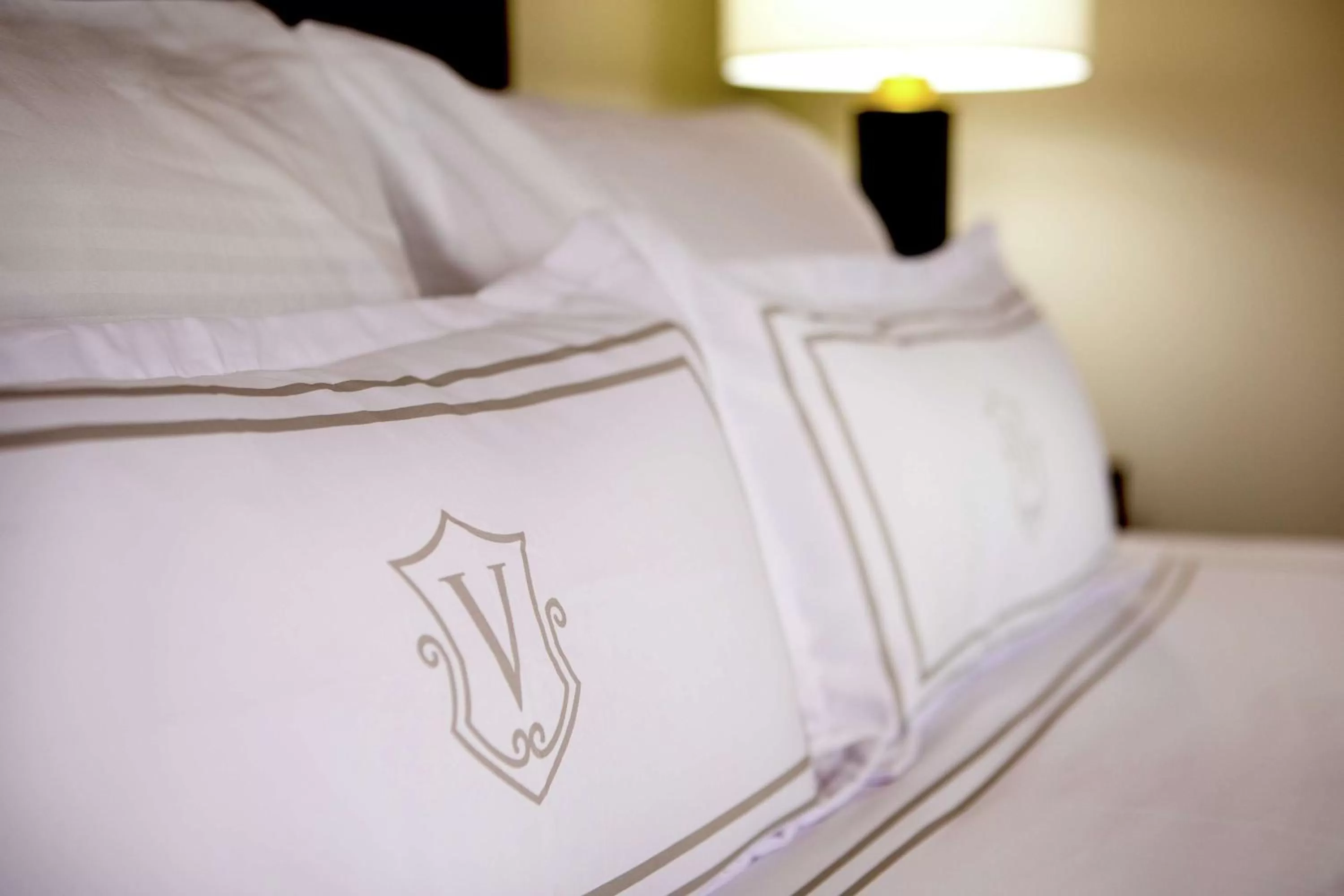 Queen Room with Spa Bath in The Virginian Lynchburg, Curio Collection By Hilton