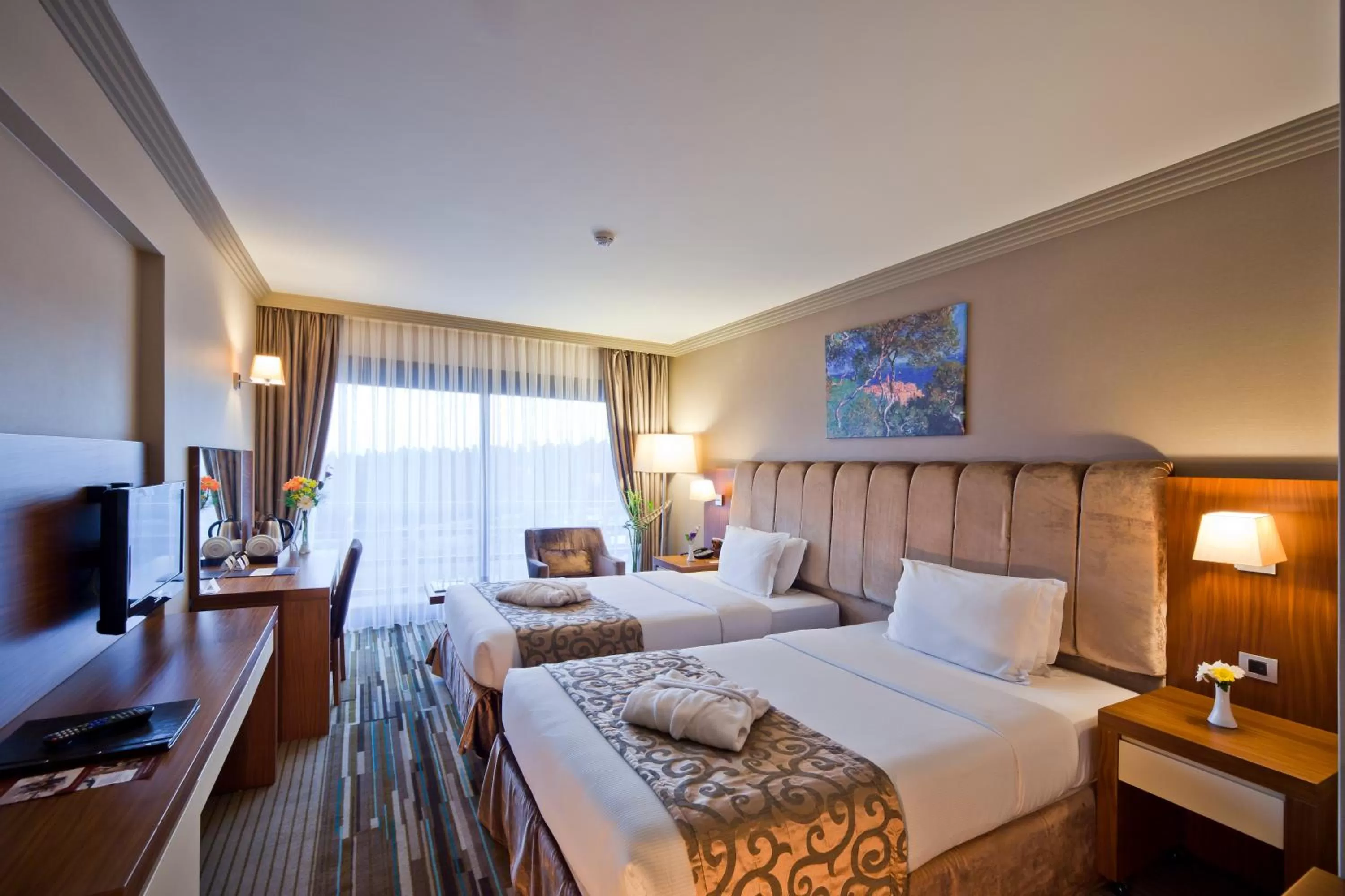 Superior Double or Twin Room with City View - single occupancy in Volley Hotel Istanbul