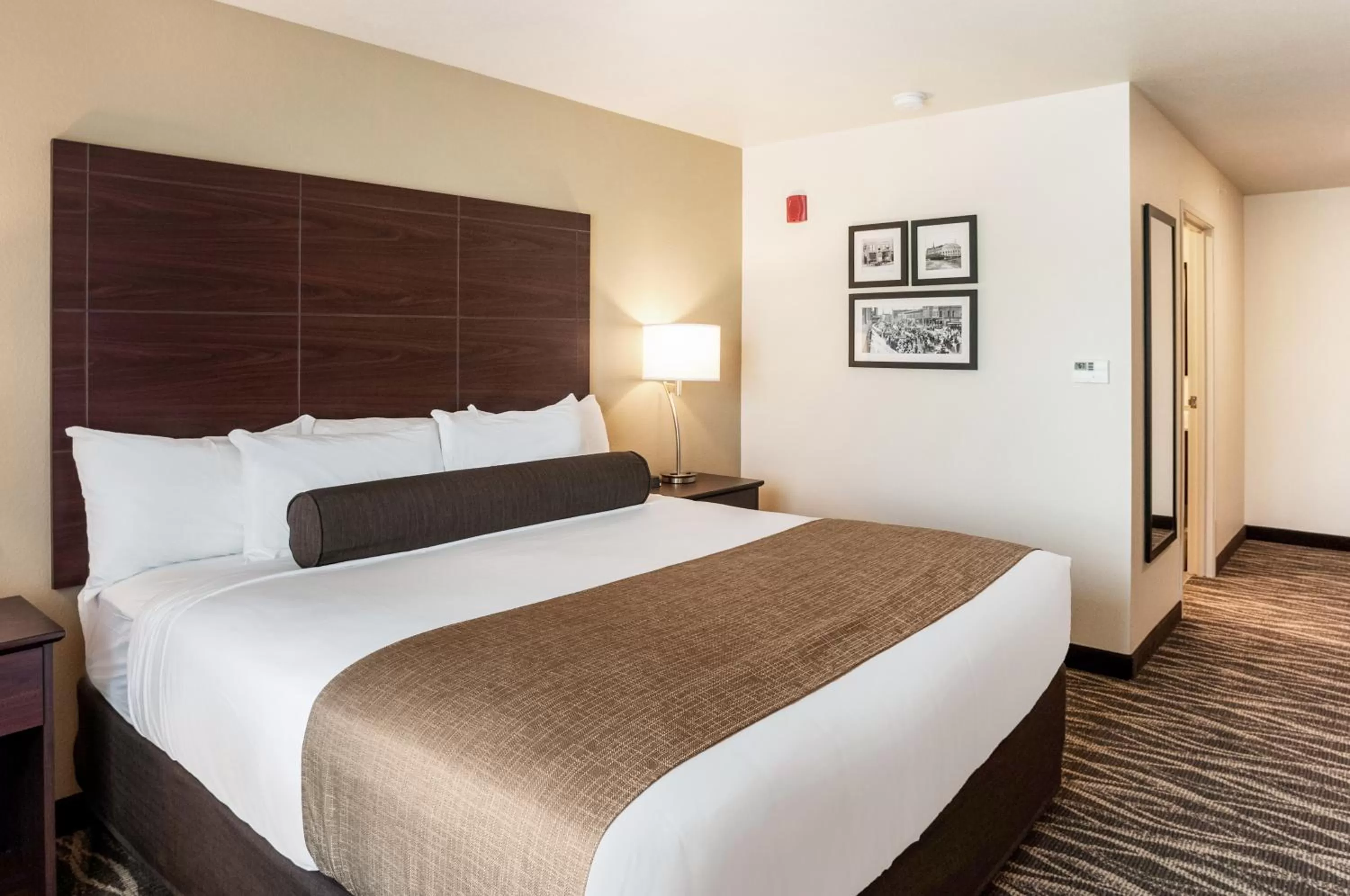 King Room - single occupancy in Cobblestone Hotel & Suites Appleton International Airport
