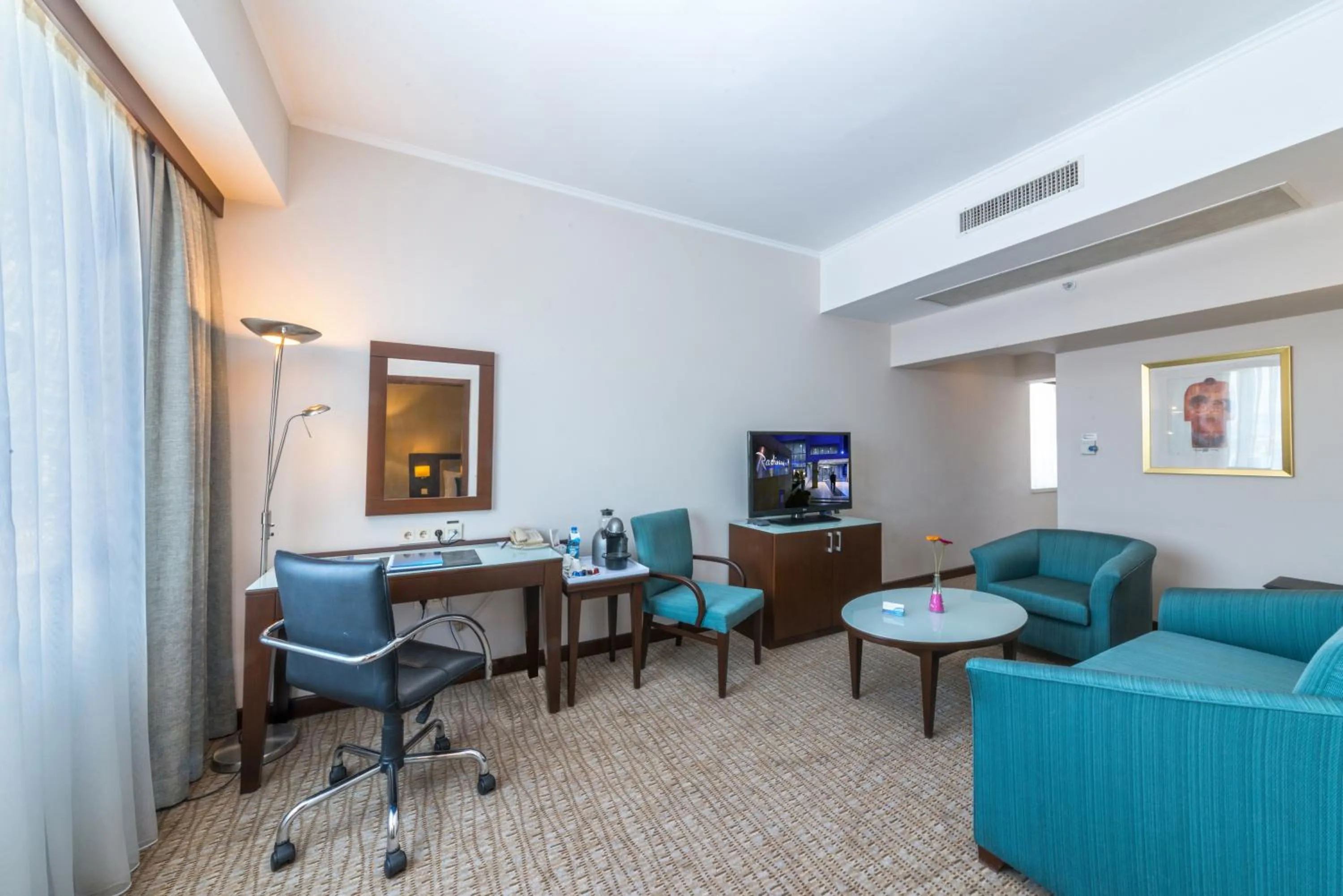Living room in Radisson Blu Ankara