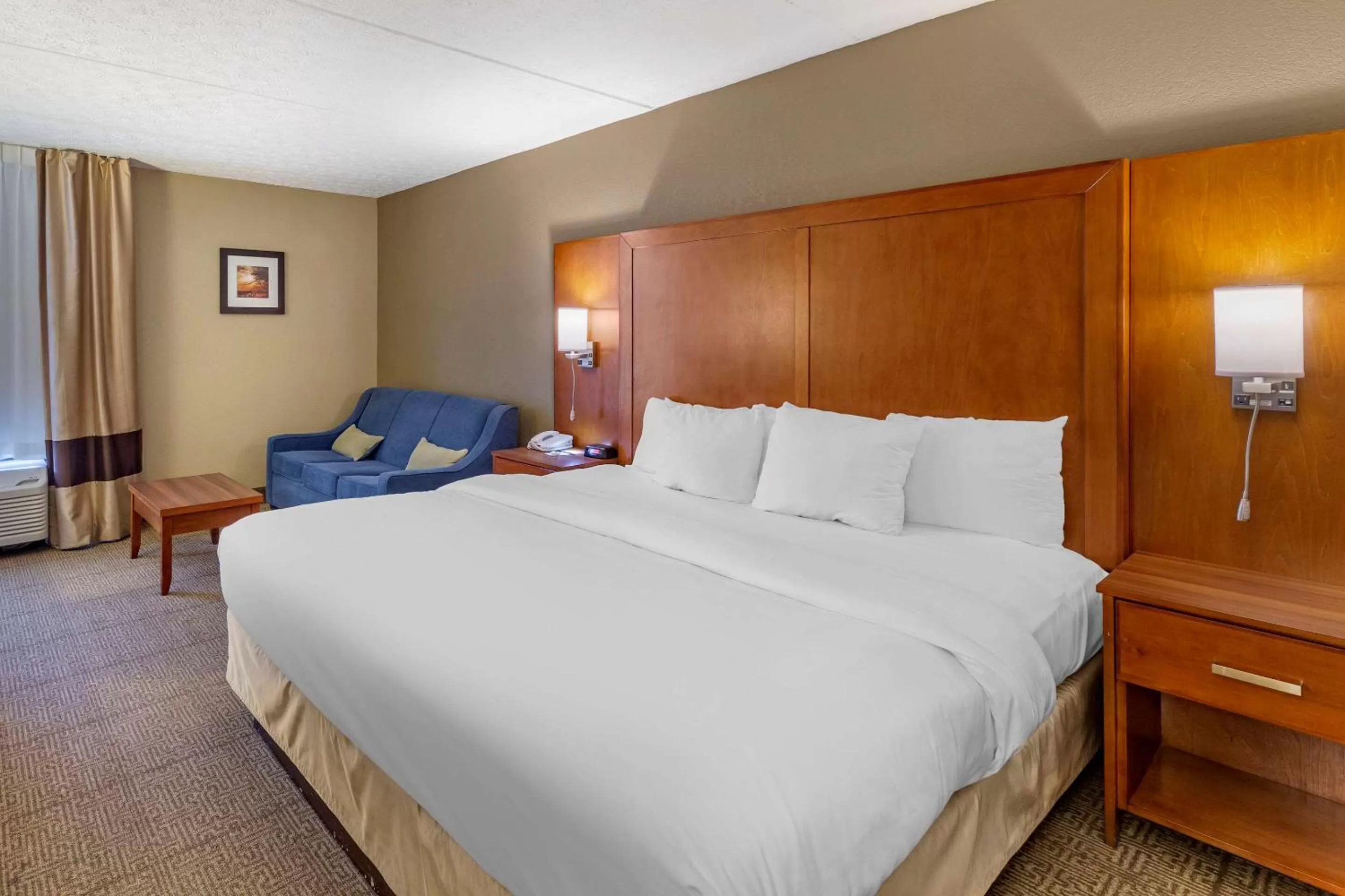 King Room - Non-Smoking in Comfort Inn Alliance