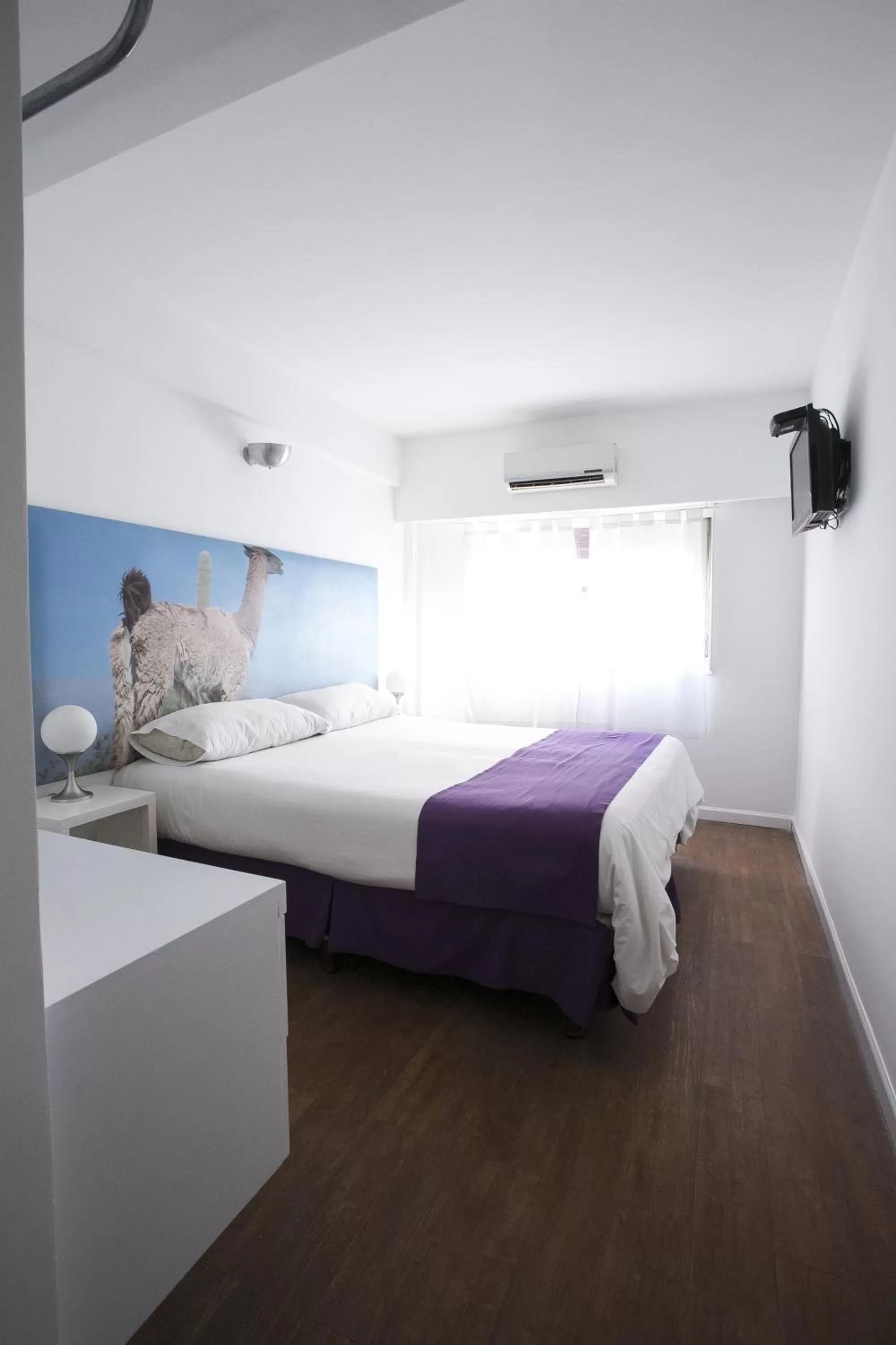 Double or Twin Room in Infinito Hotel