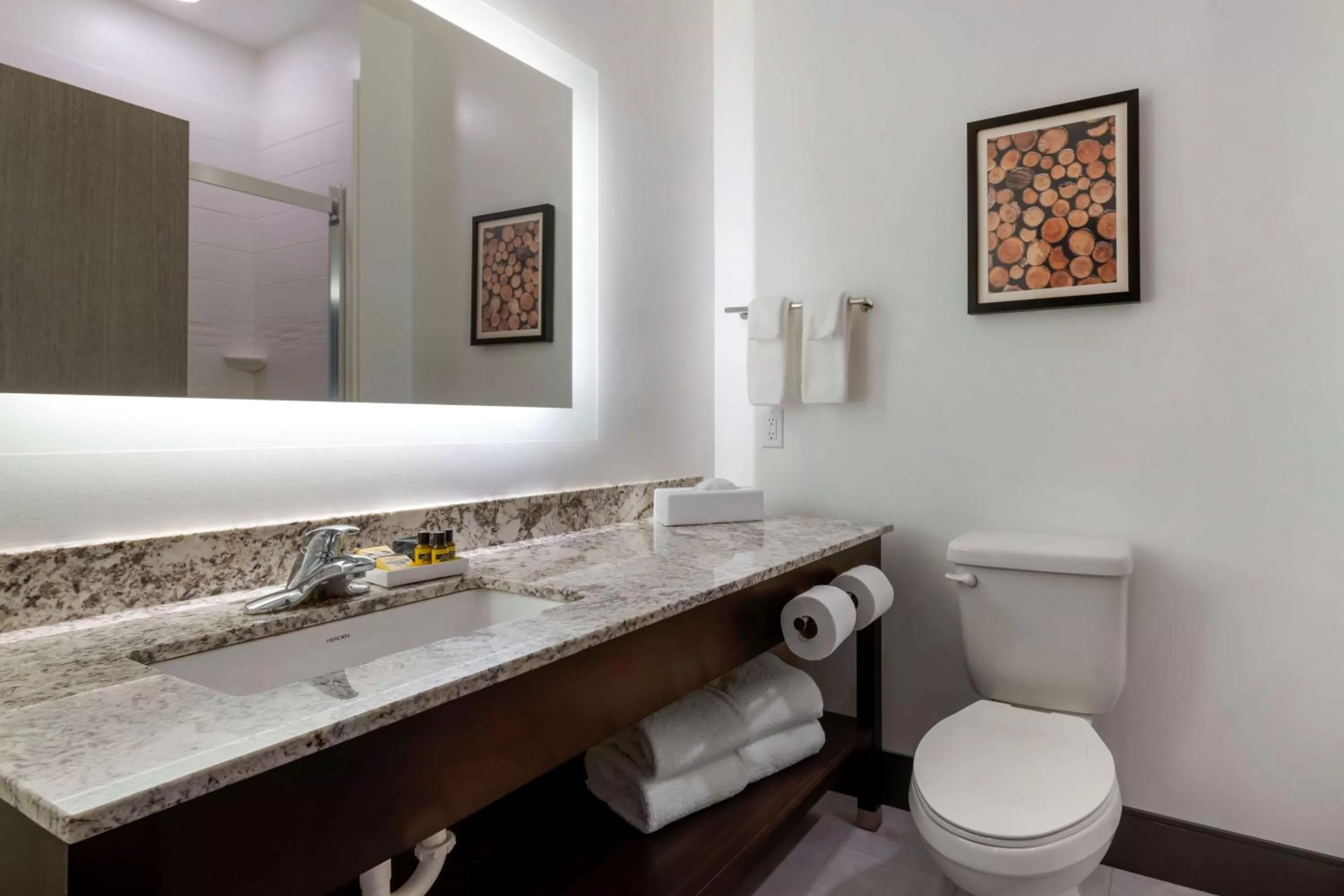 King Suite with Communication Assistance in Best Western Plus Isanti