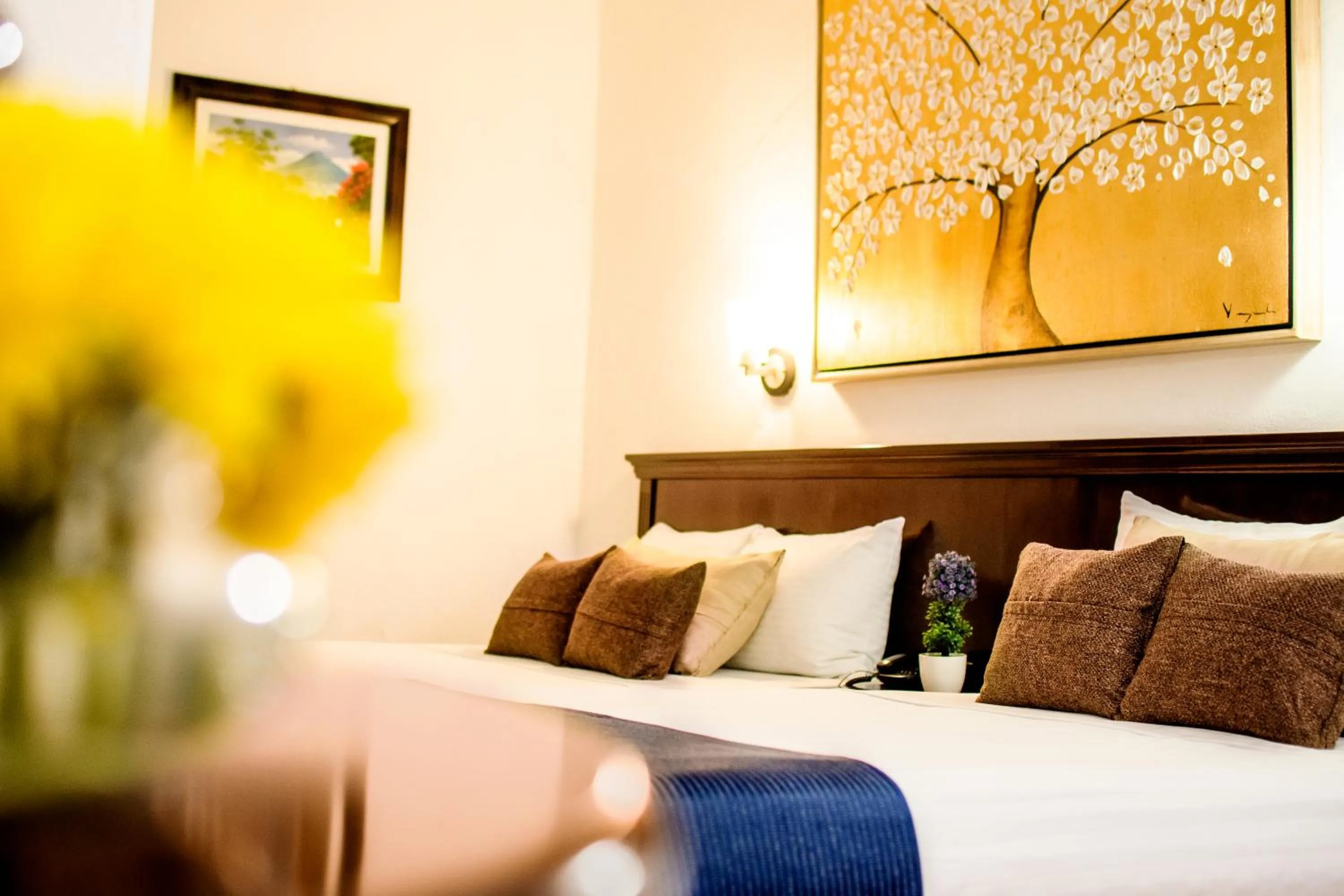 Junior Suite in Hotel del Carmen, en el Centro- DESAYUNO Incluido !