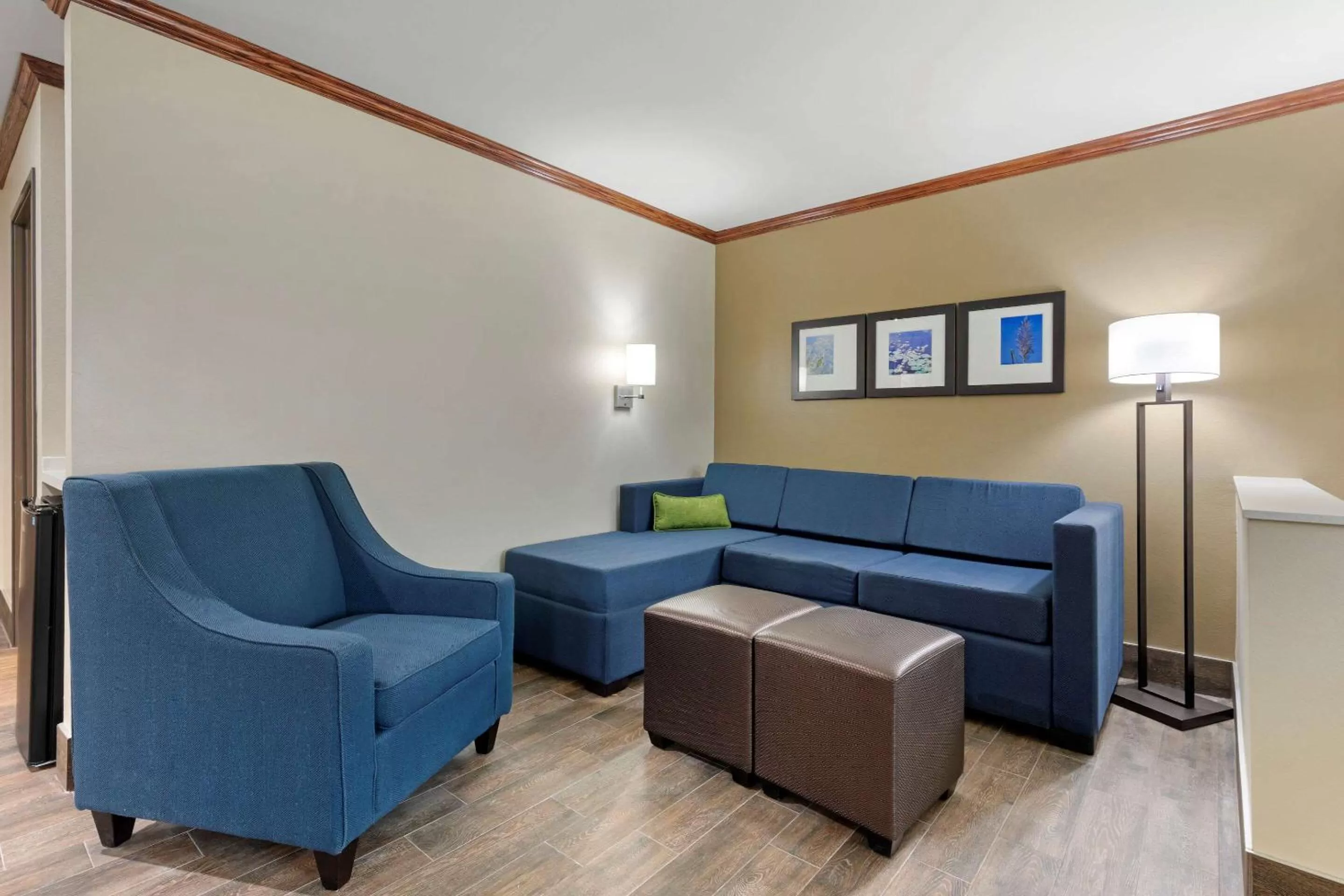 Executive King Suite with Sofa Bed - Non-smoking in Comfort Suites West Monroe near Ike Hamilton Expo Center