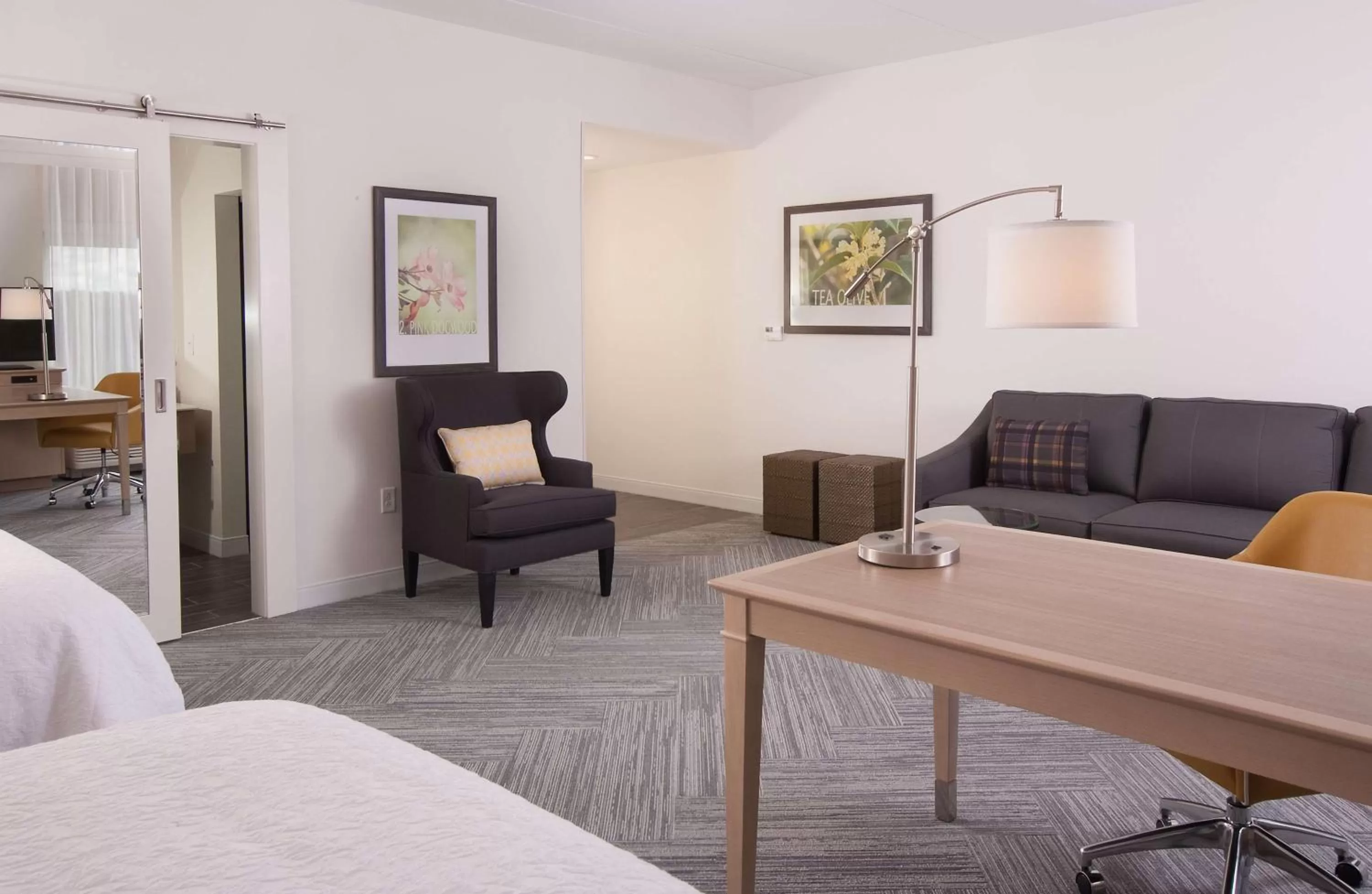 Studio with Two Queen Beds and Sofa Bed - Hearing Access/Non-Smoking in Hampton Inn & Suites by Hilton Augusta-Washington Rd