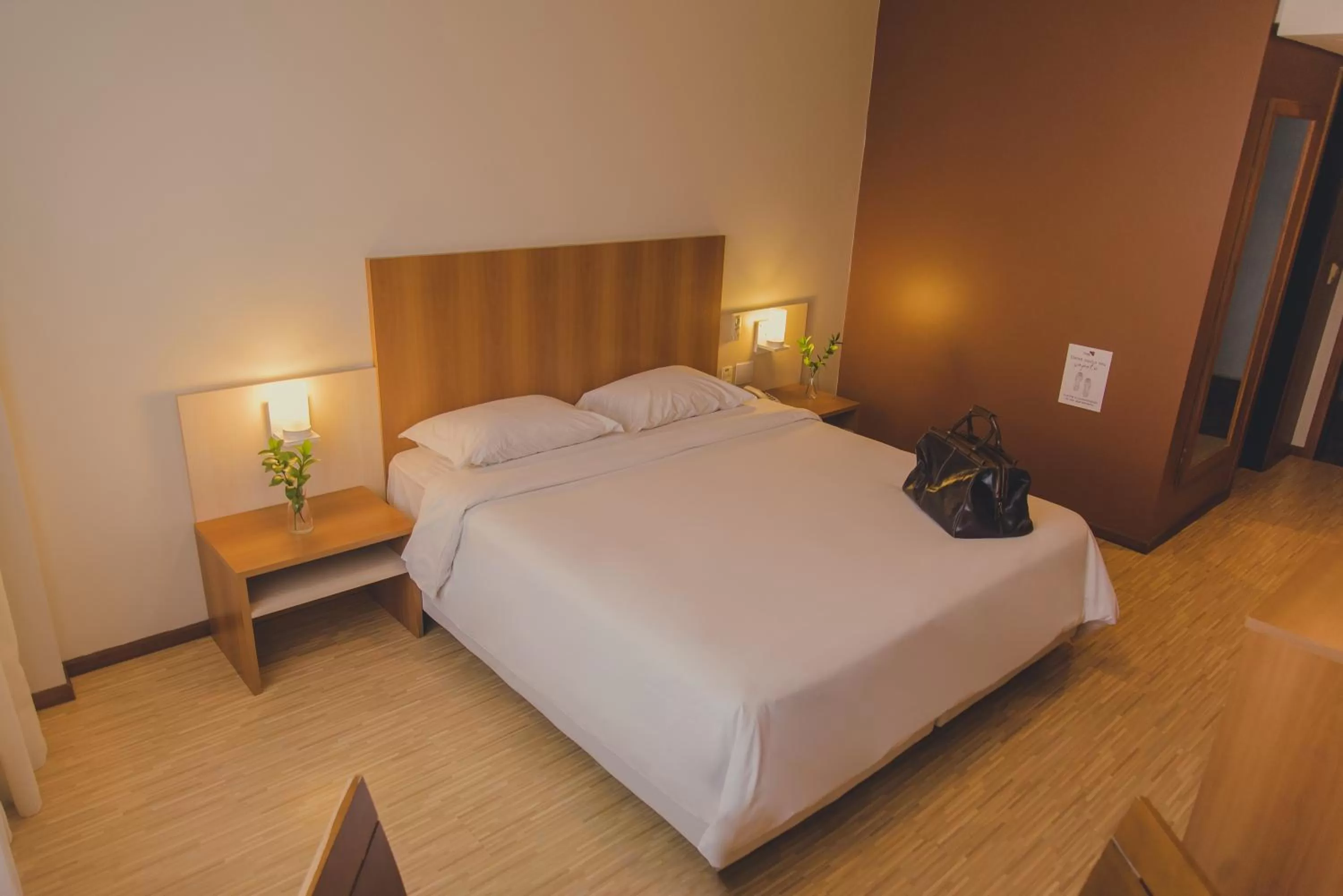 Luxury Double Room with a Double Bed in Swan Novo Hamburgo