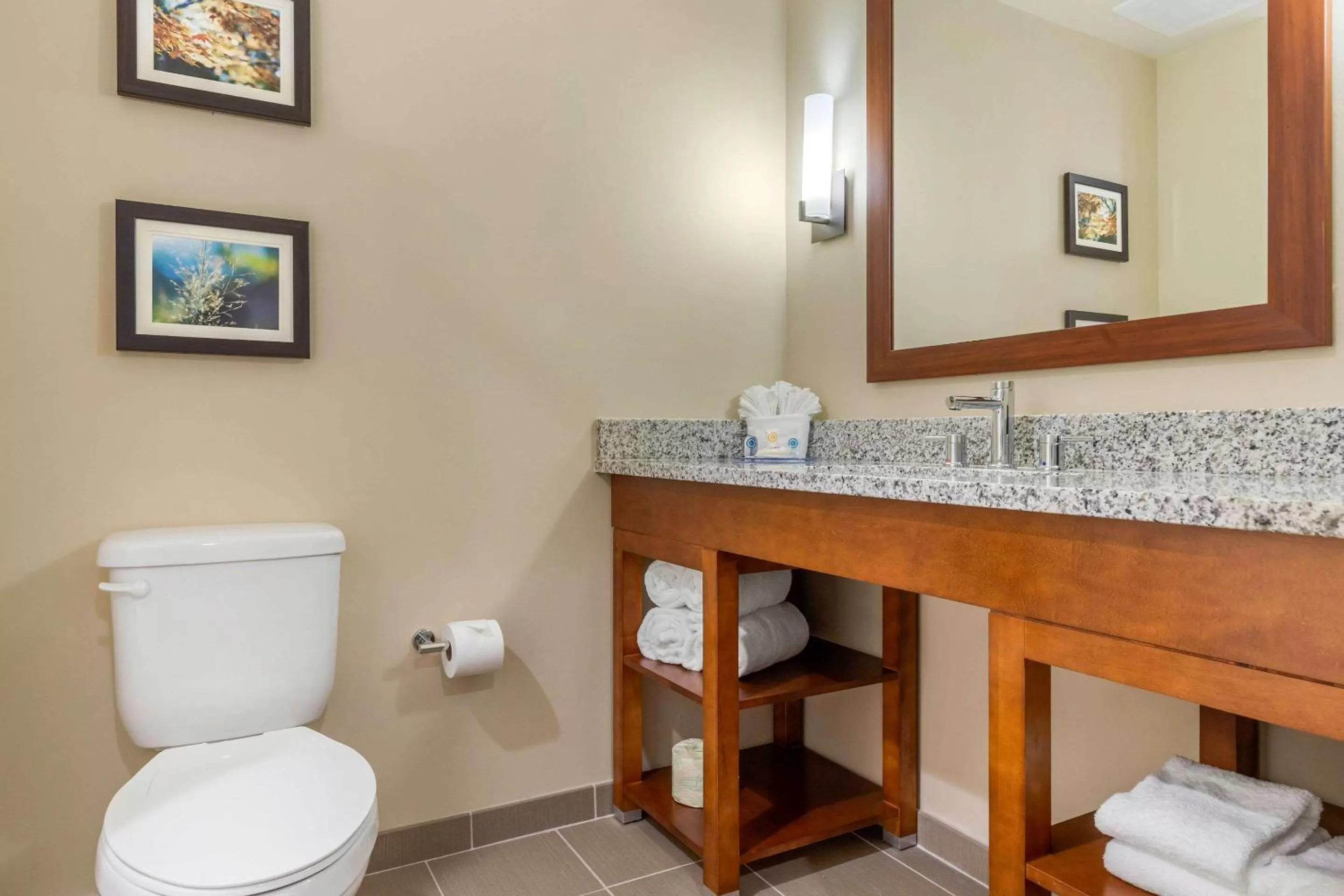 King Room - Accessible/Non-Smoking in Comfort Inn & Suites Florence Center Area