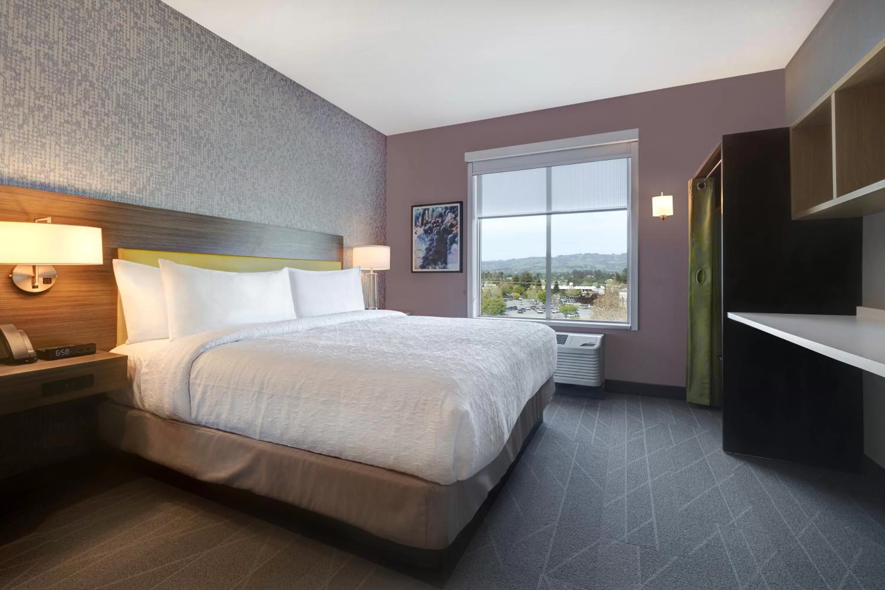 King Studio Suite with Mountain View in Home2 Suites By Hilton Petaluma