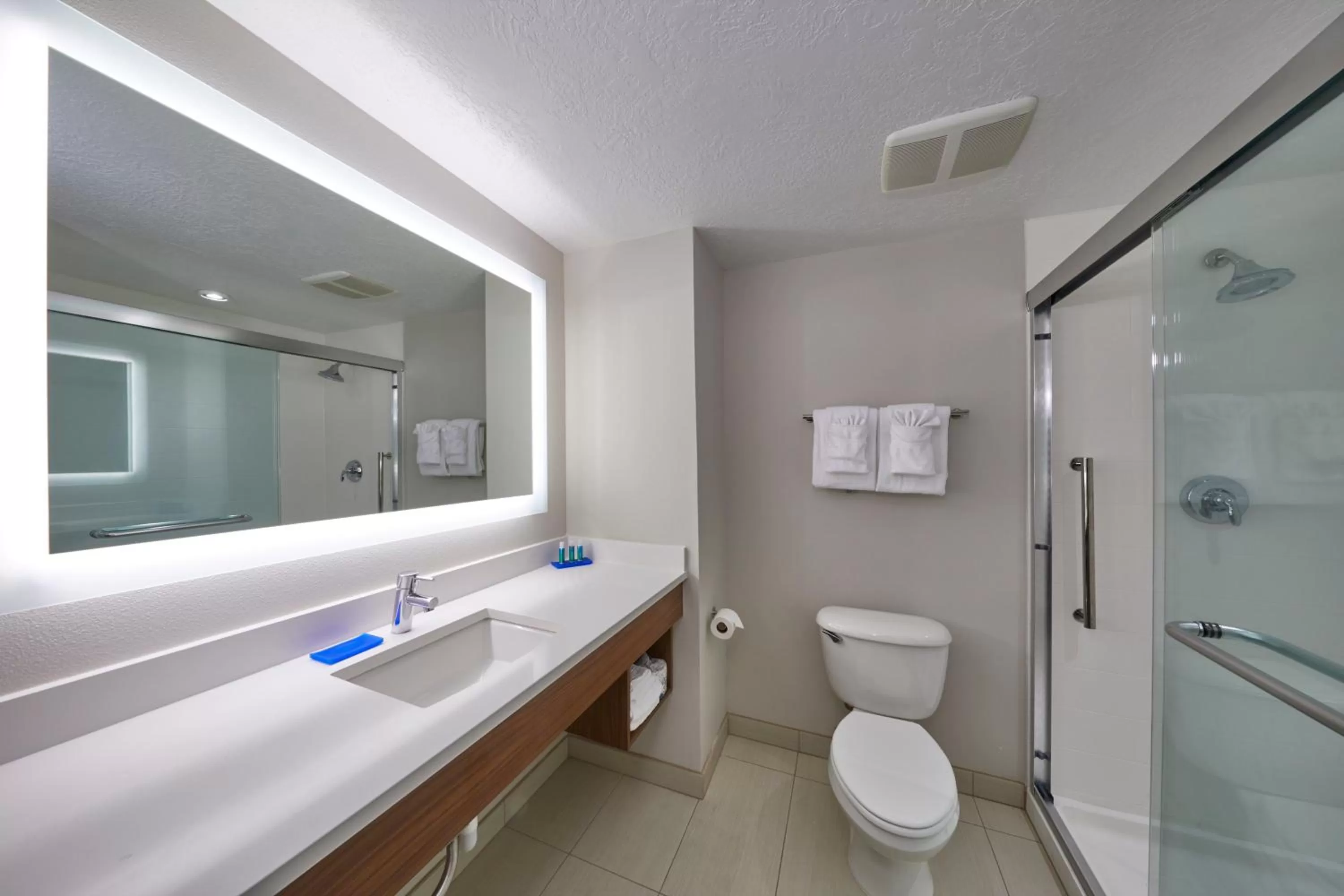 Executive King Suite in Holiday Inn Express Hotel & Suites Medford-Central Point, an IHG Hotel