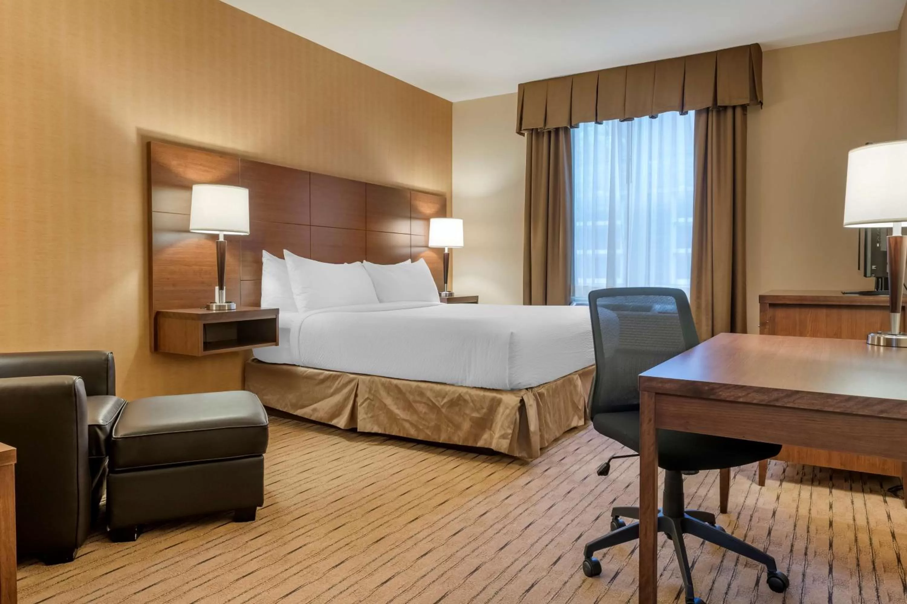 King Suite with Sofa Bed - Non-Smoking in Best Western Plus, Bathurst Hotel & Suites