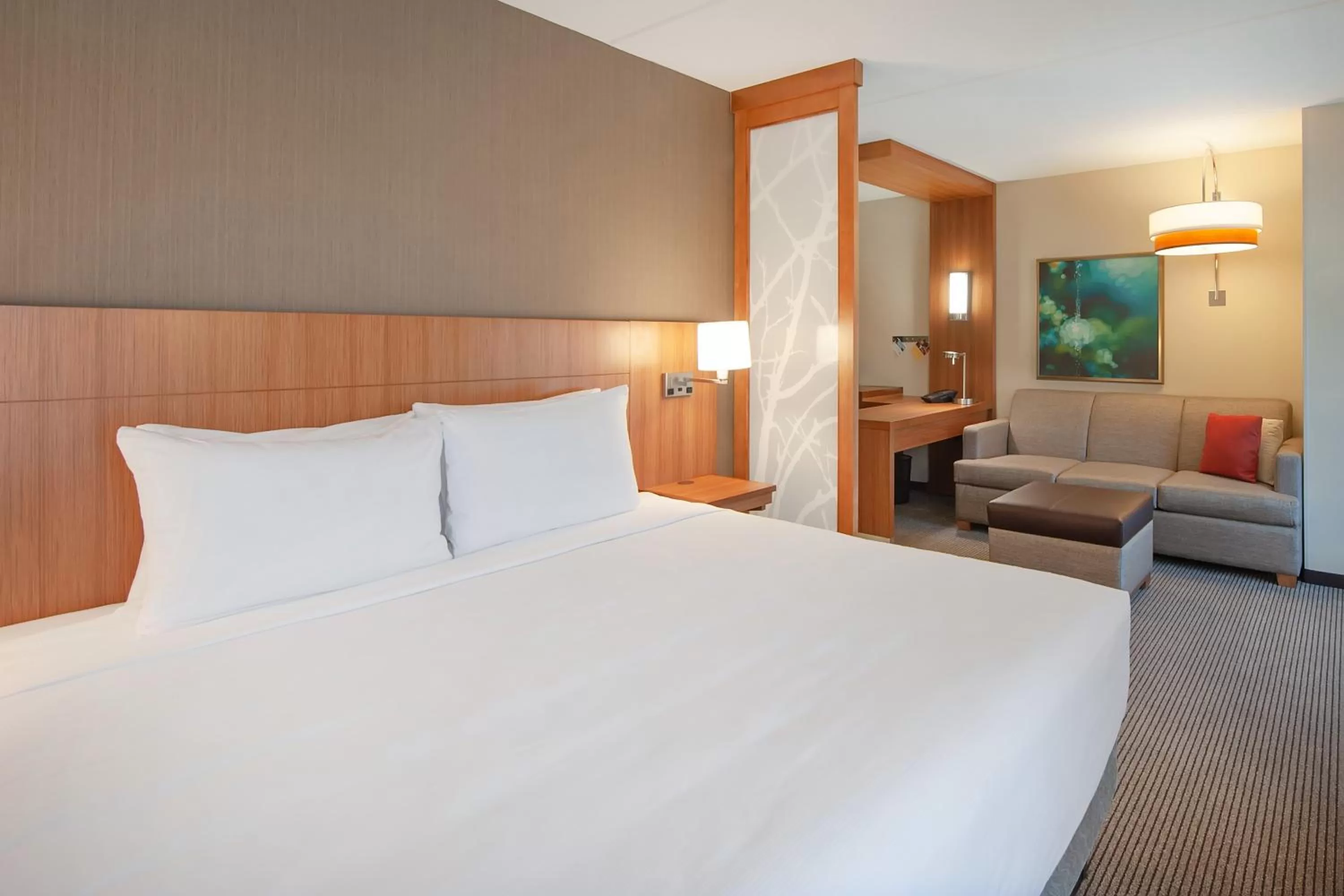 King Room with Sofa Bed and Roll-In Shower - Disability Access in Hyatt Place Durham Southpoint