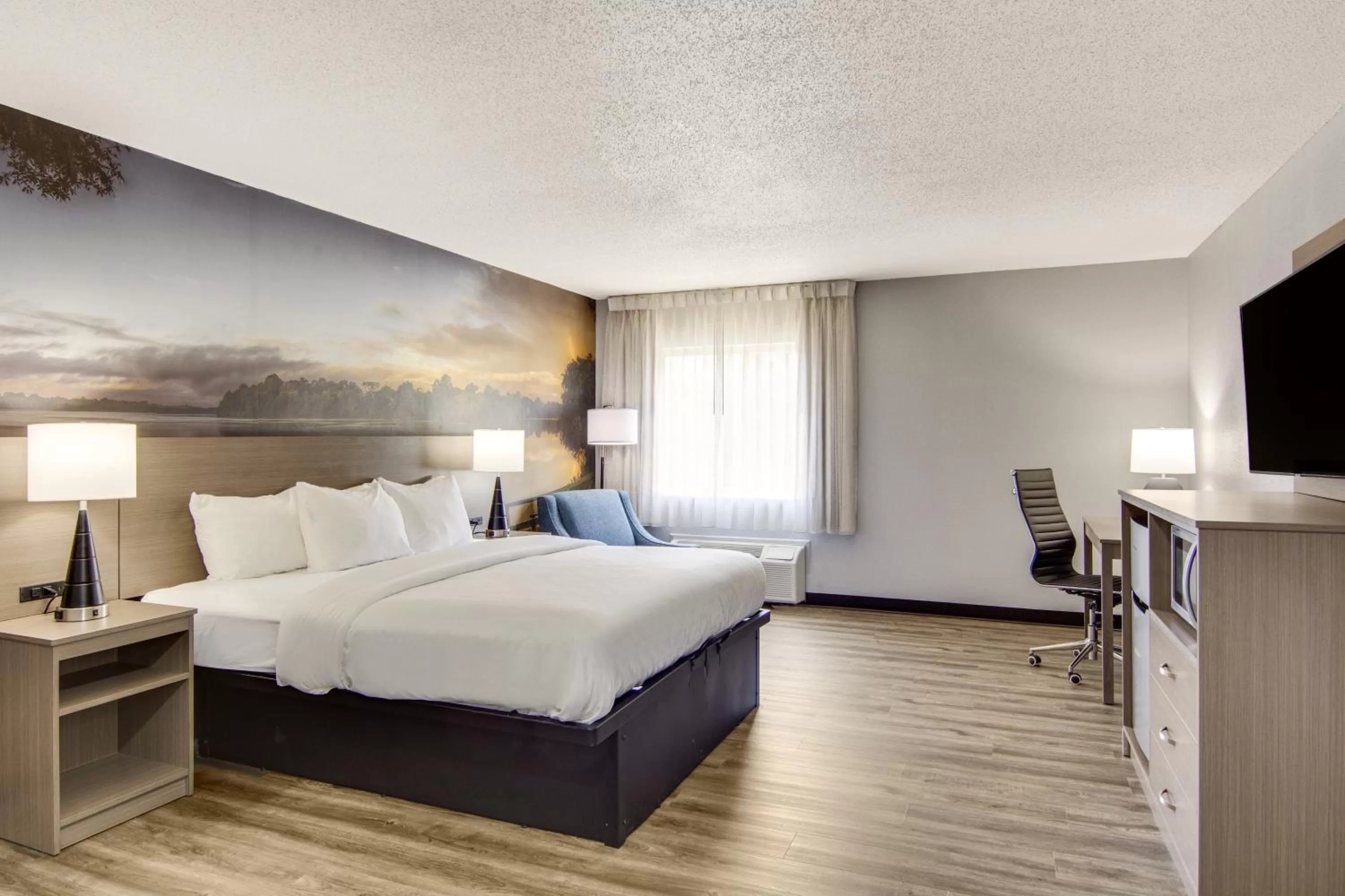 King Room - Accessible/Non Smoking in Clarion Pointe on the lake Clarksville-South Hill West