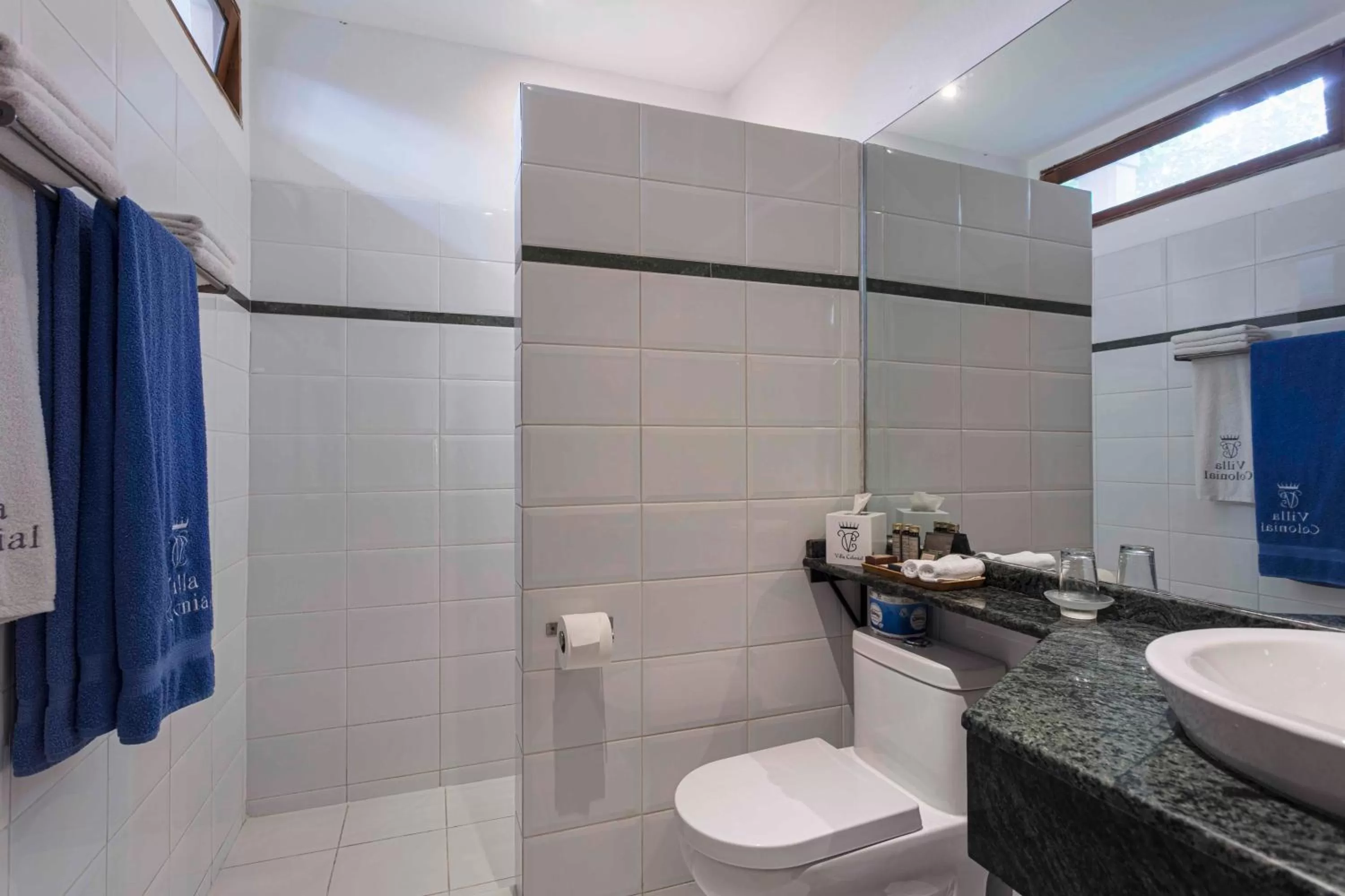 Double Room in Hotel Villa Colonial