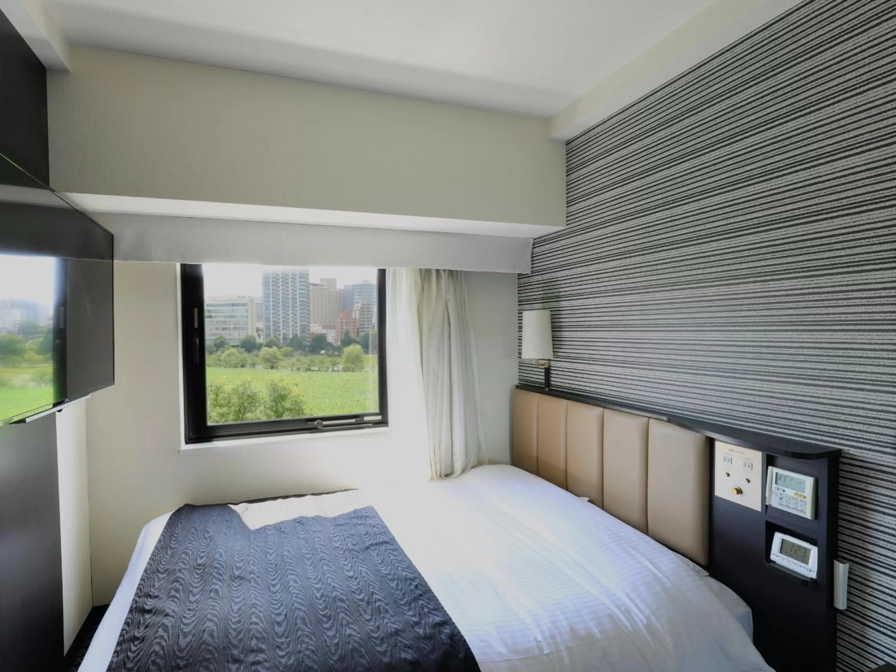 Double Room with Lake View and City View - single occupancy - Non-Smoking in APA Hotel Keisei Ueno Ekimae