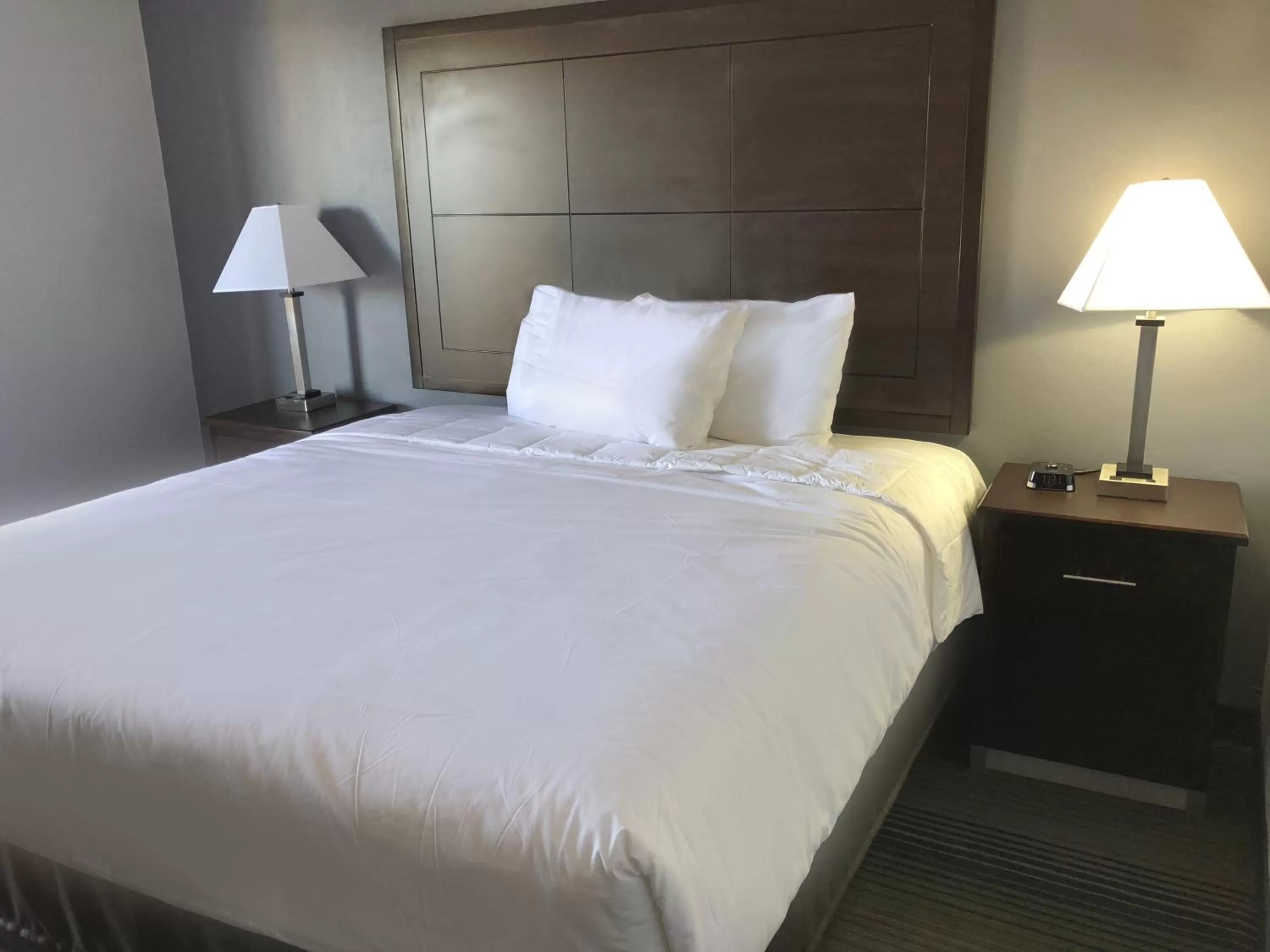 Standard Queen Room in Red Lion Inn & Suites Tucson Downtown