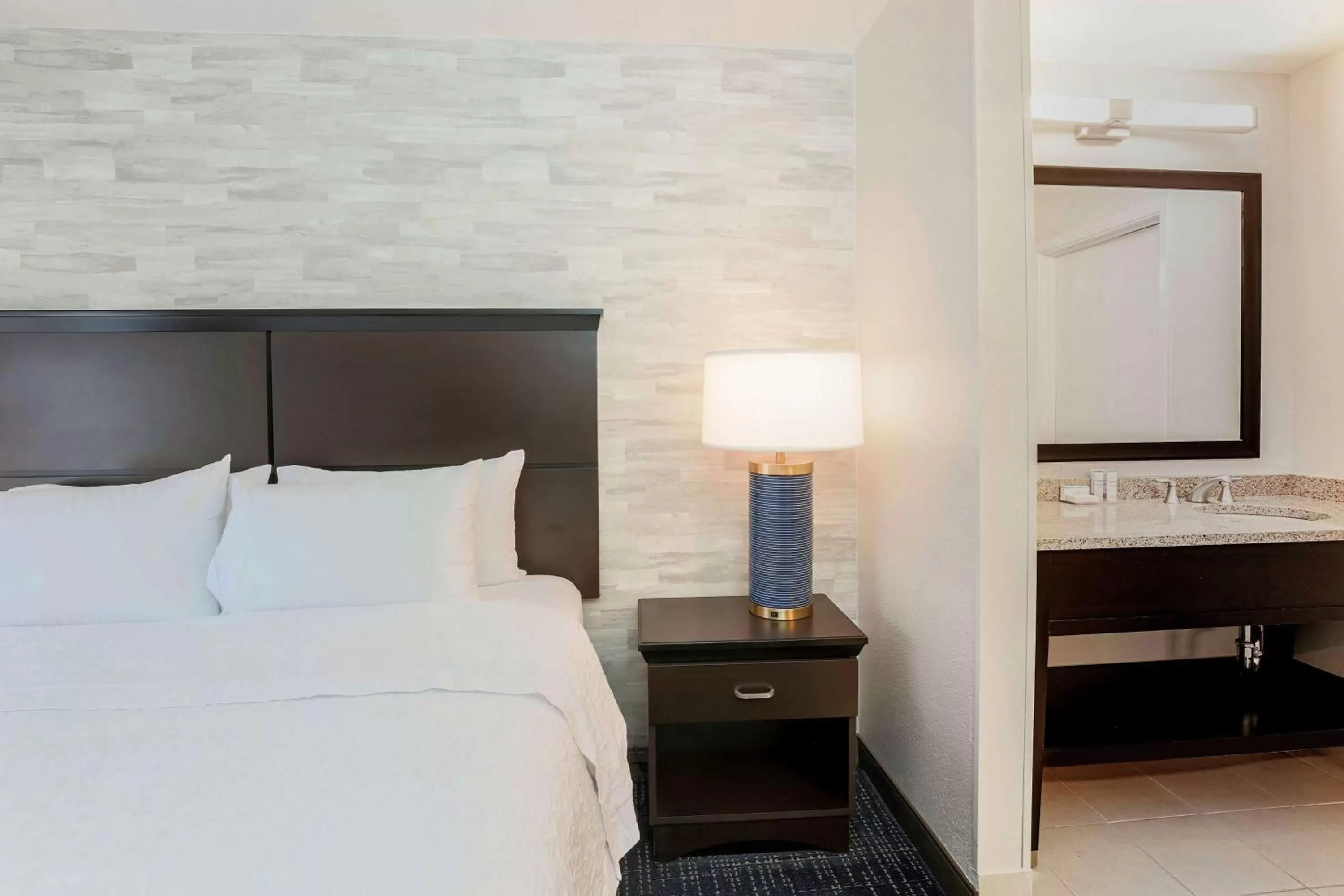 Non-Smoking King Suite with Kitchen in Hampton Inn & Suites Denver Tech Center